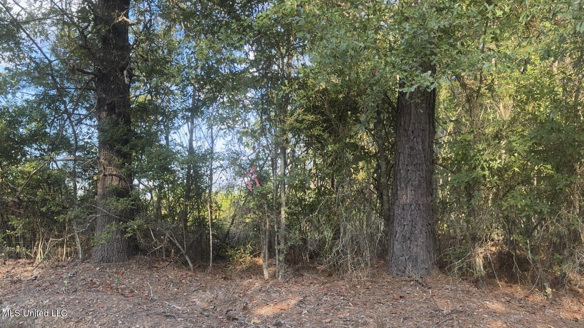 Attala Road 4041 Road Property Photo 1