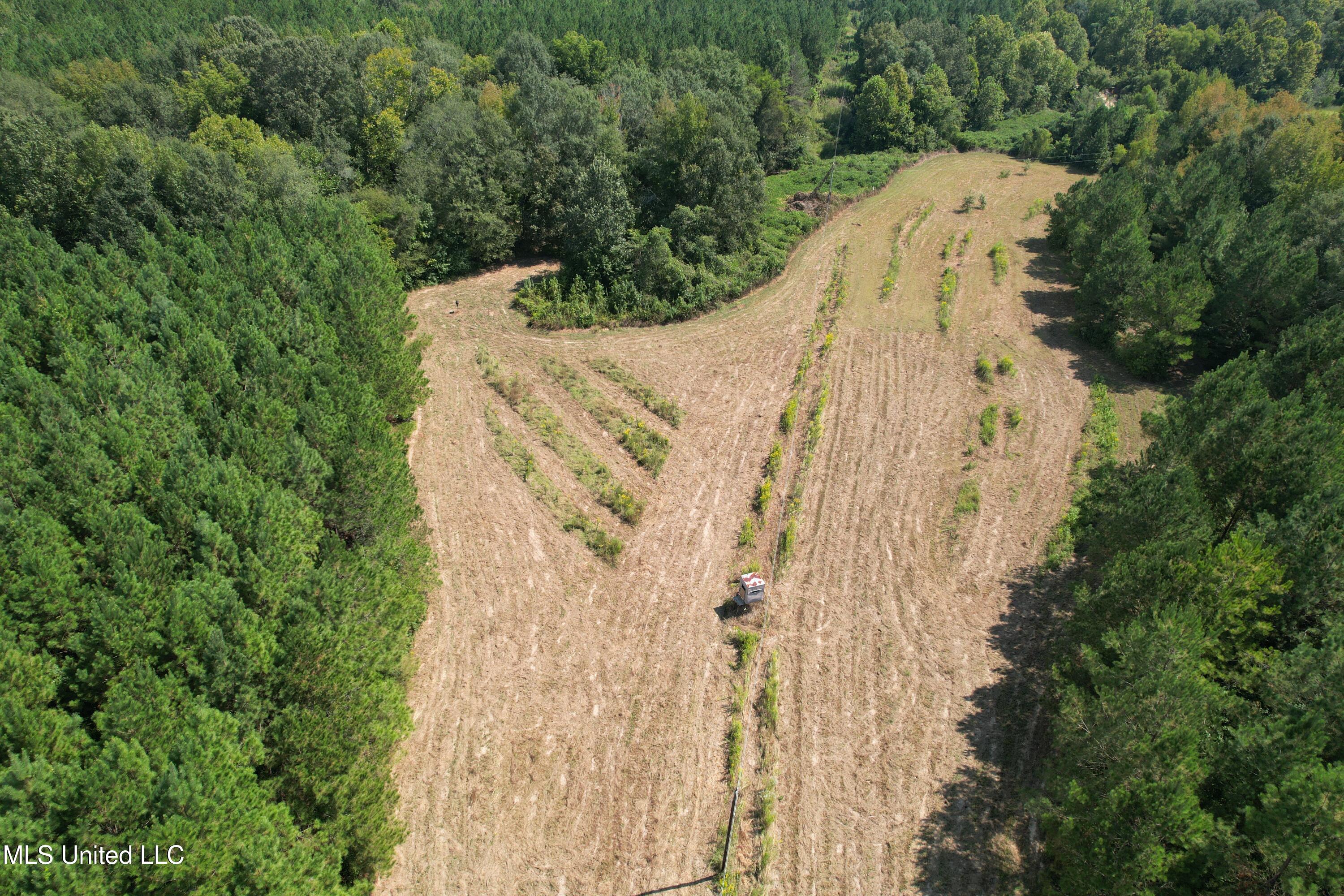2928 Stokes Cemetary Road Property Photo 15