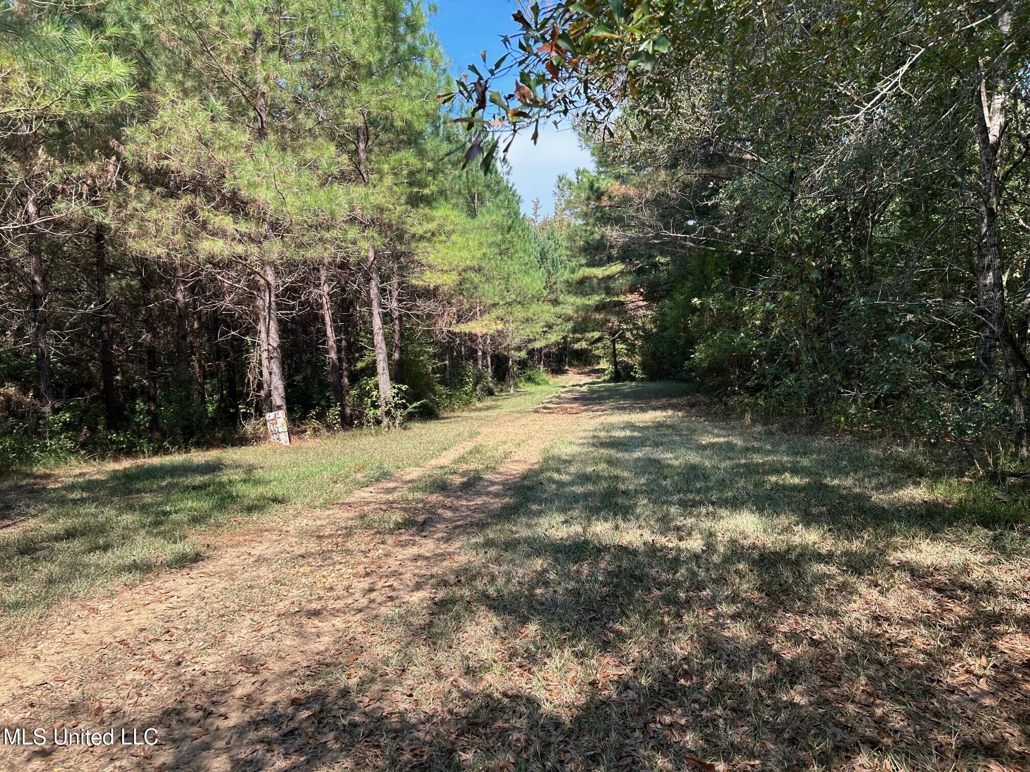 2928 Stokes Cemetary Road Property Photo 16