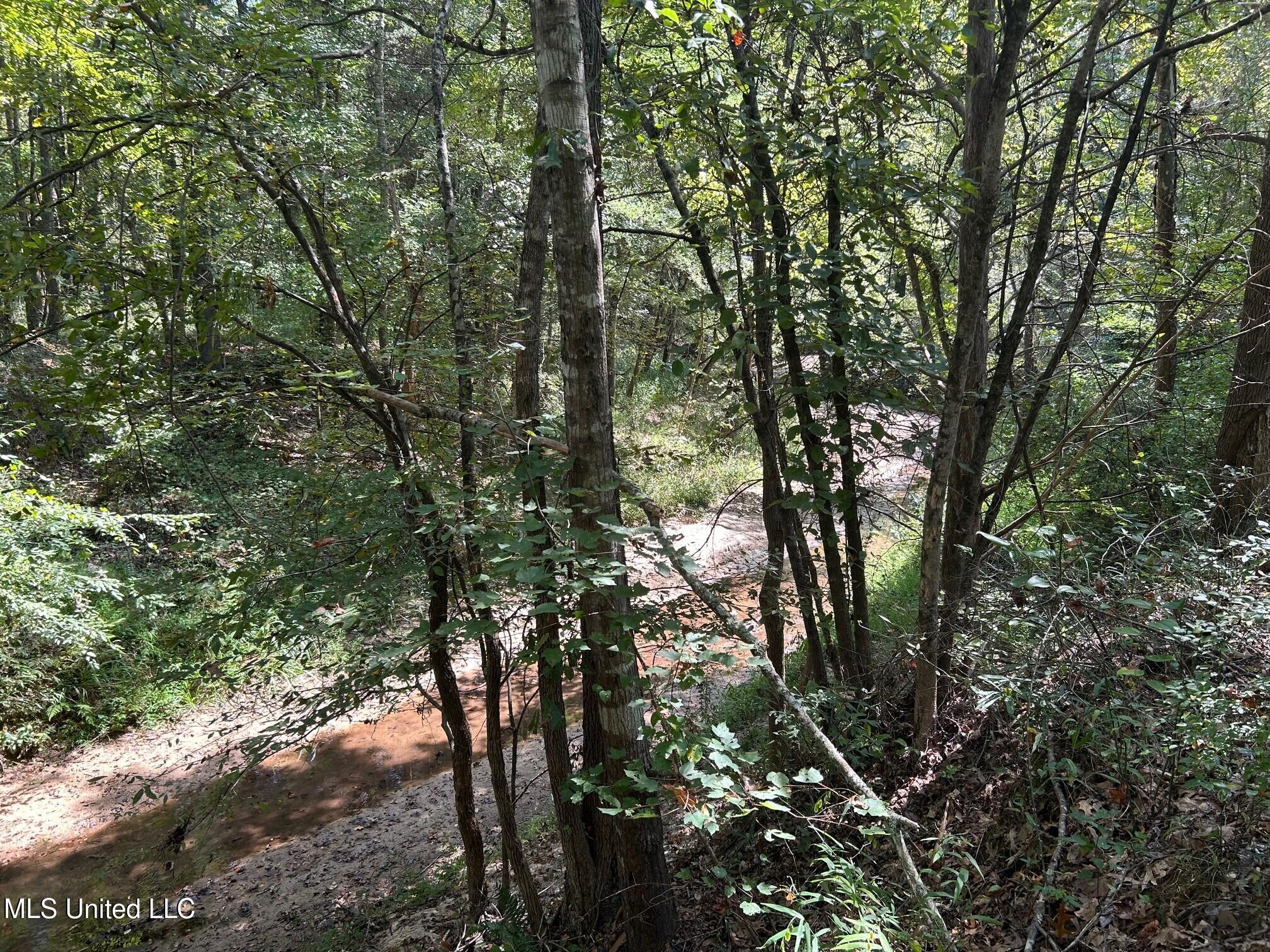 2928 Stokes Cemetary Road Property Photo 17