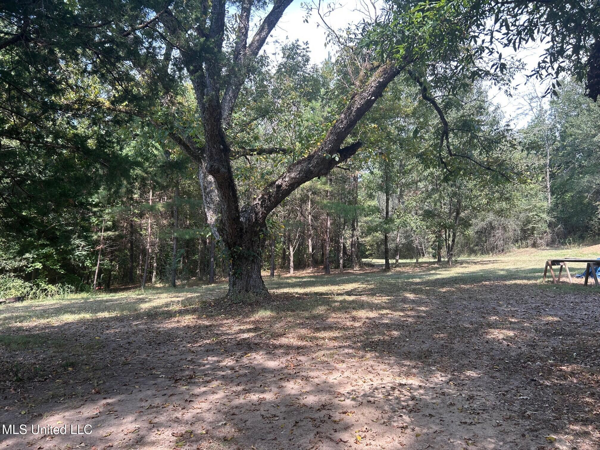 2928 Stokes Cemetary Road Property Photo 19
