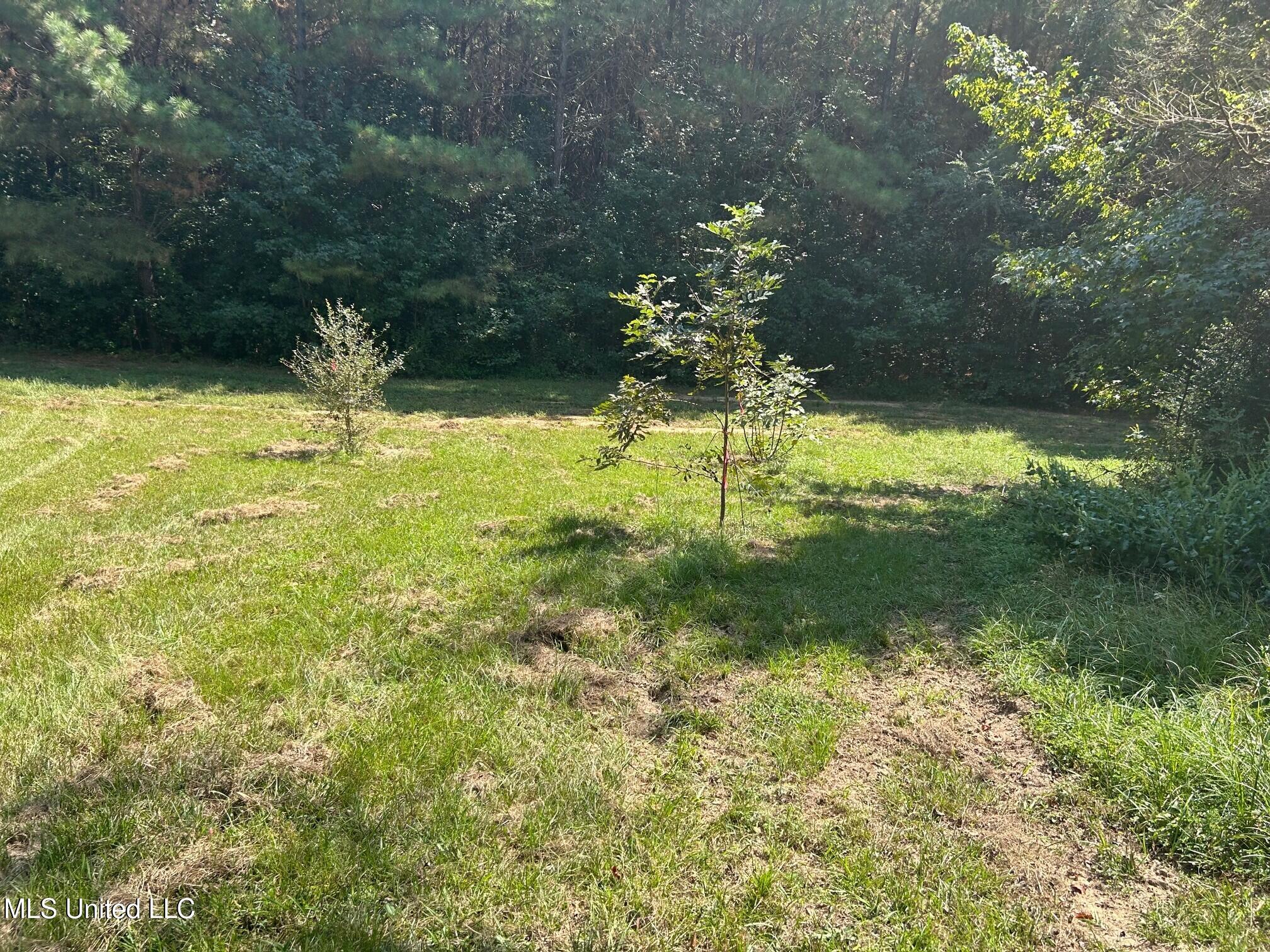 2928 Stokes Cemetary Road Property Photo 21