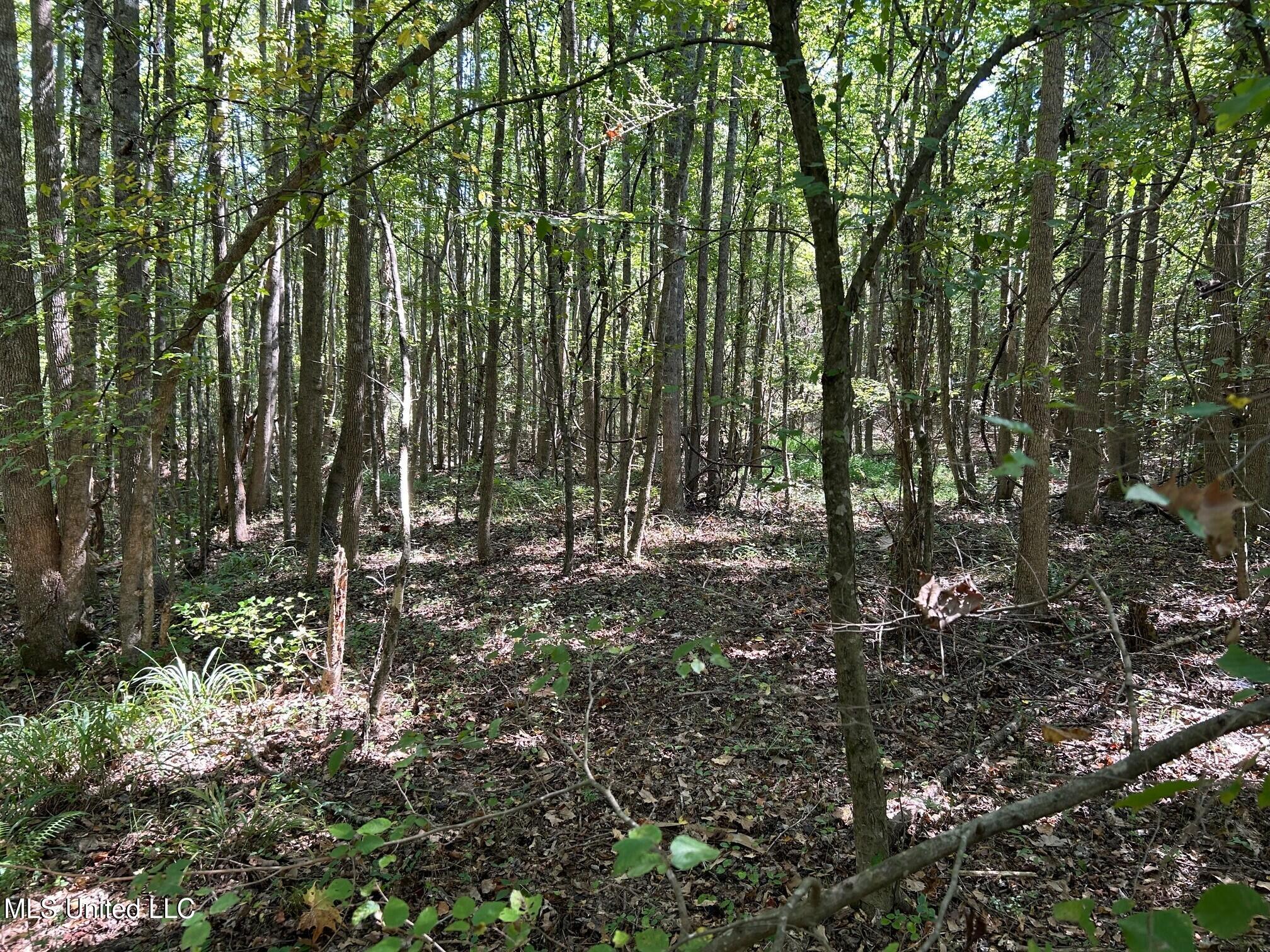2928 Stokes Cemetary Road Property Photo 22