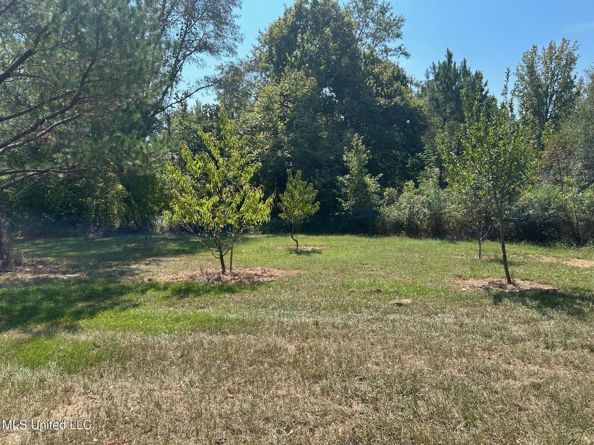 2928 Stokes Cemetary Road Property Photo 23