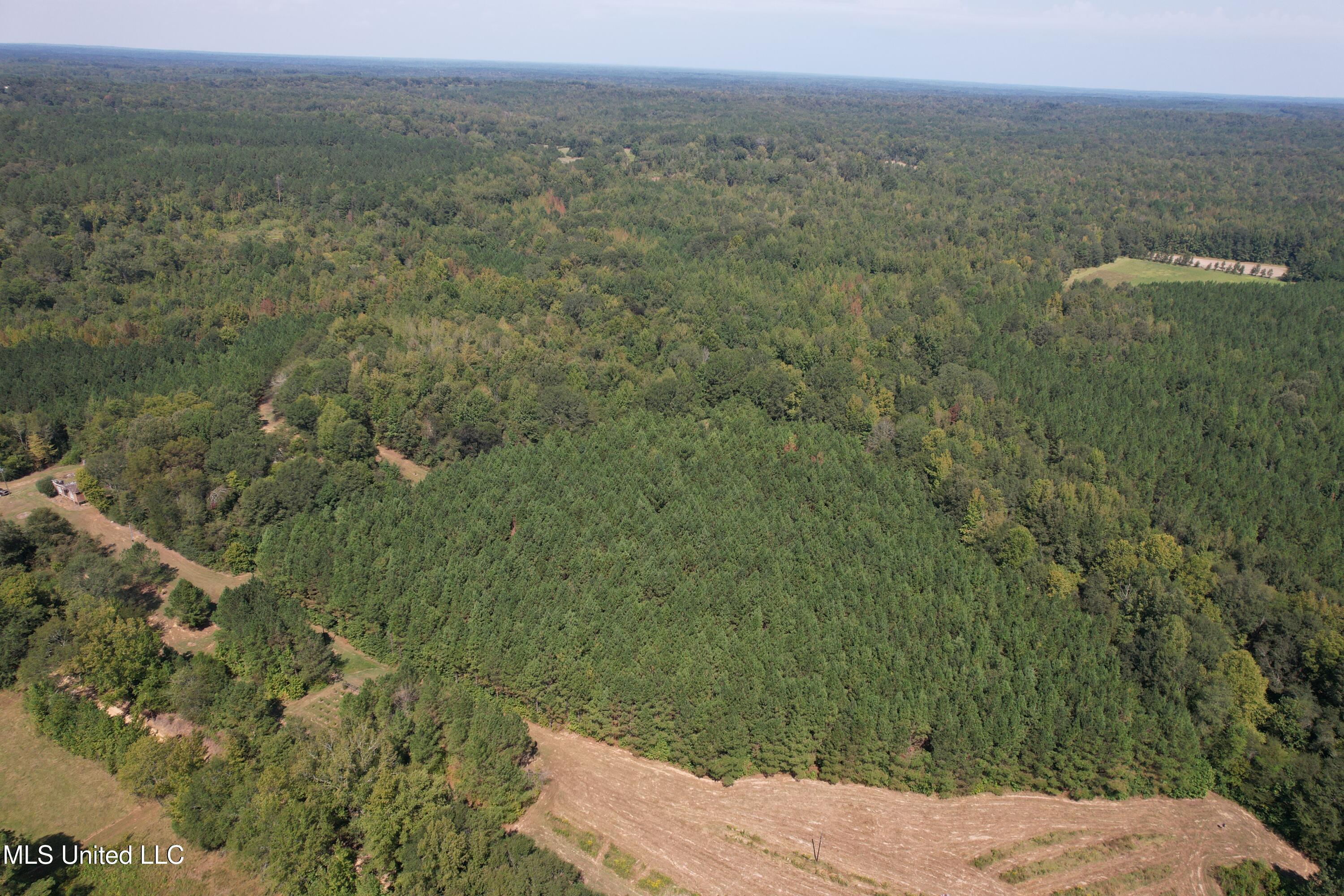 2928 Stokes Cemetary Road Property Photo 25