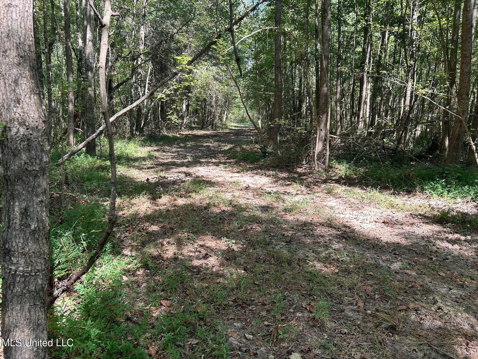 2928 Stokes Cemetary Road Property Photo 27