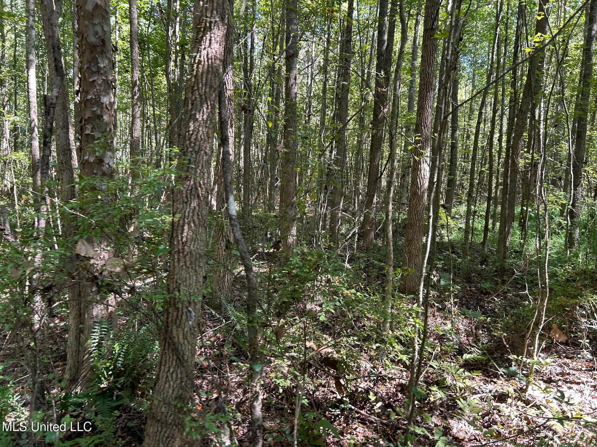 2928 Stokes Cemetary Road Property Photo 28