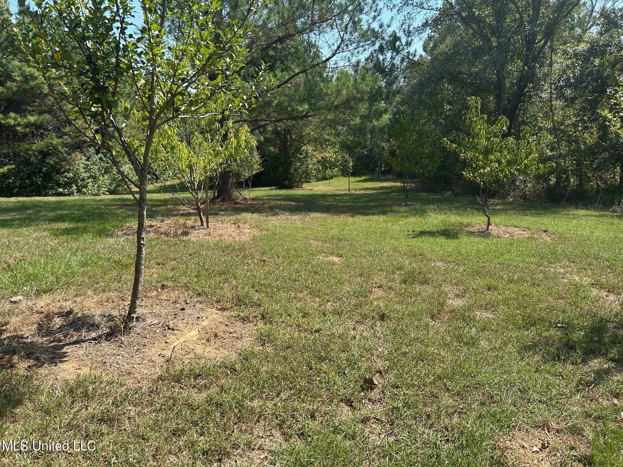 2928 Stokes Cemetary Road Property Photo 29
