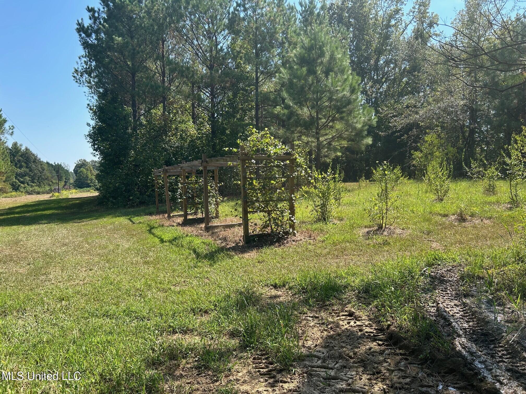 2928 Stokes Cemetary Road Property Photo 31