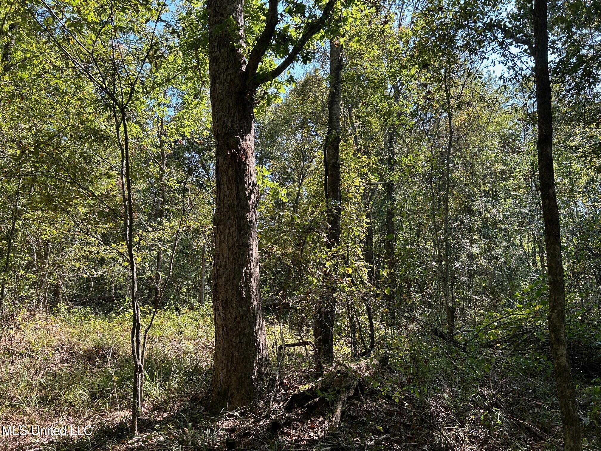 2928 Stokes Cemetary Road Property Photo 32