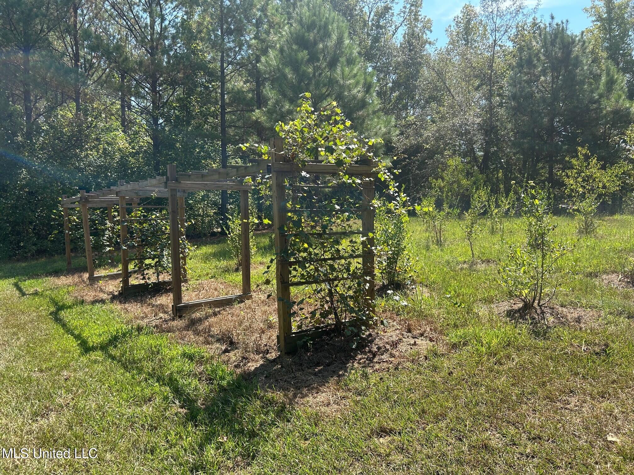 2928 Stokes Cemetary Road Property Photo 33