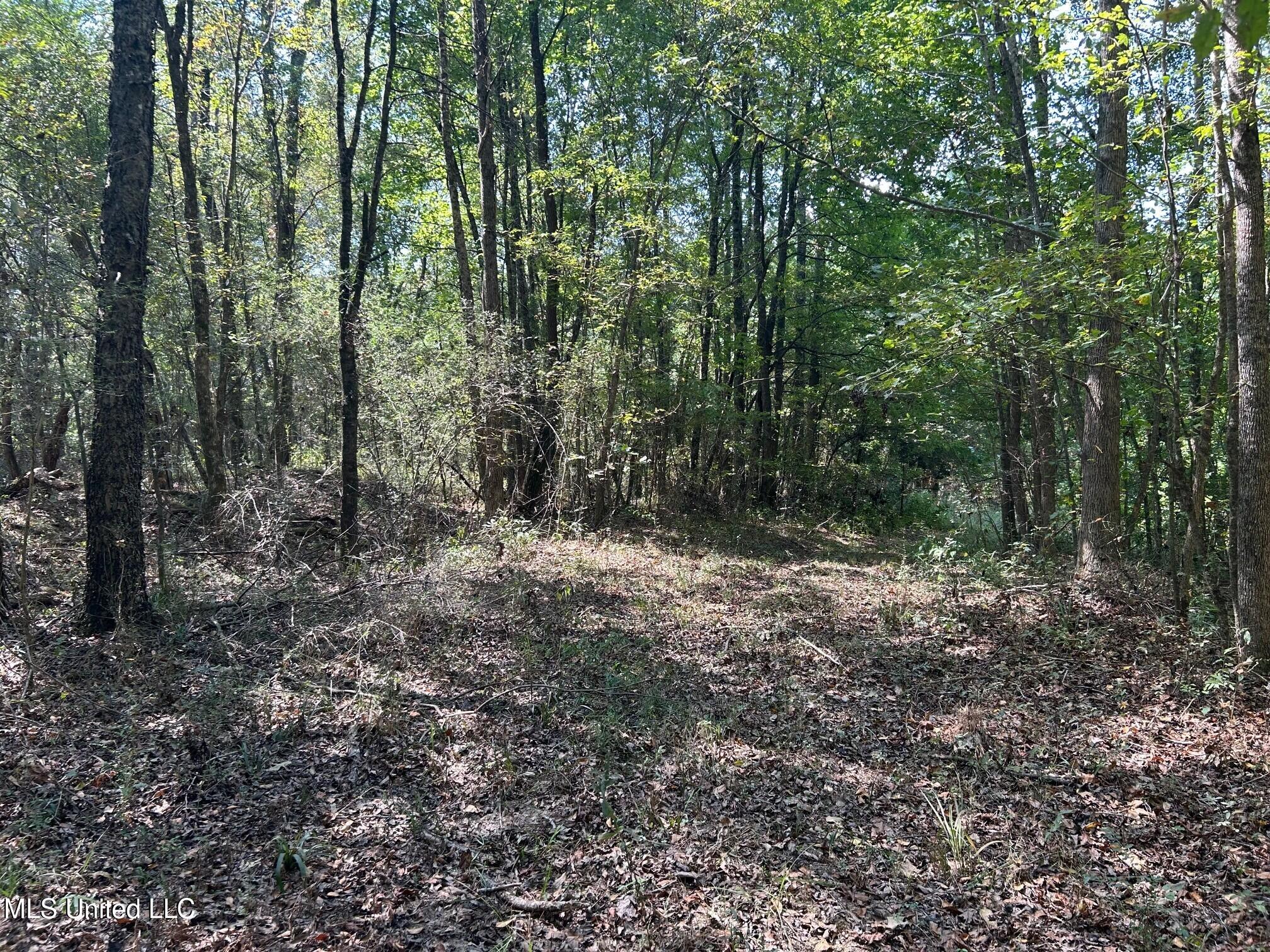 2928 Stokes Cemetary Road Property Photo 34
