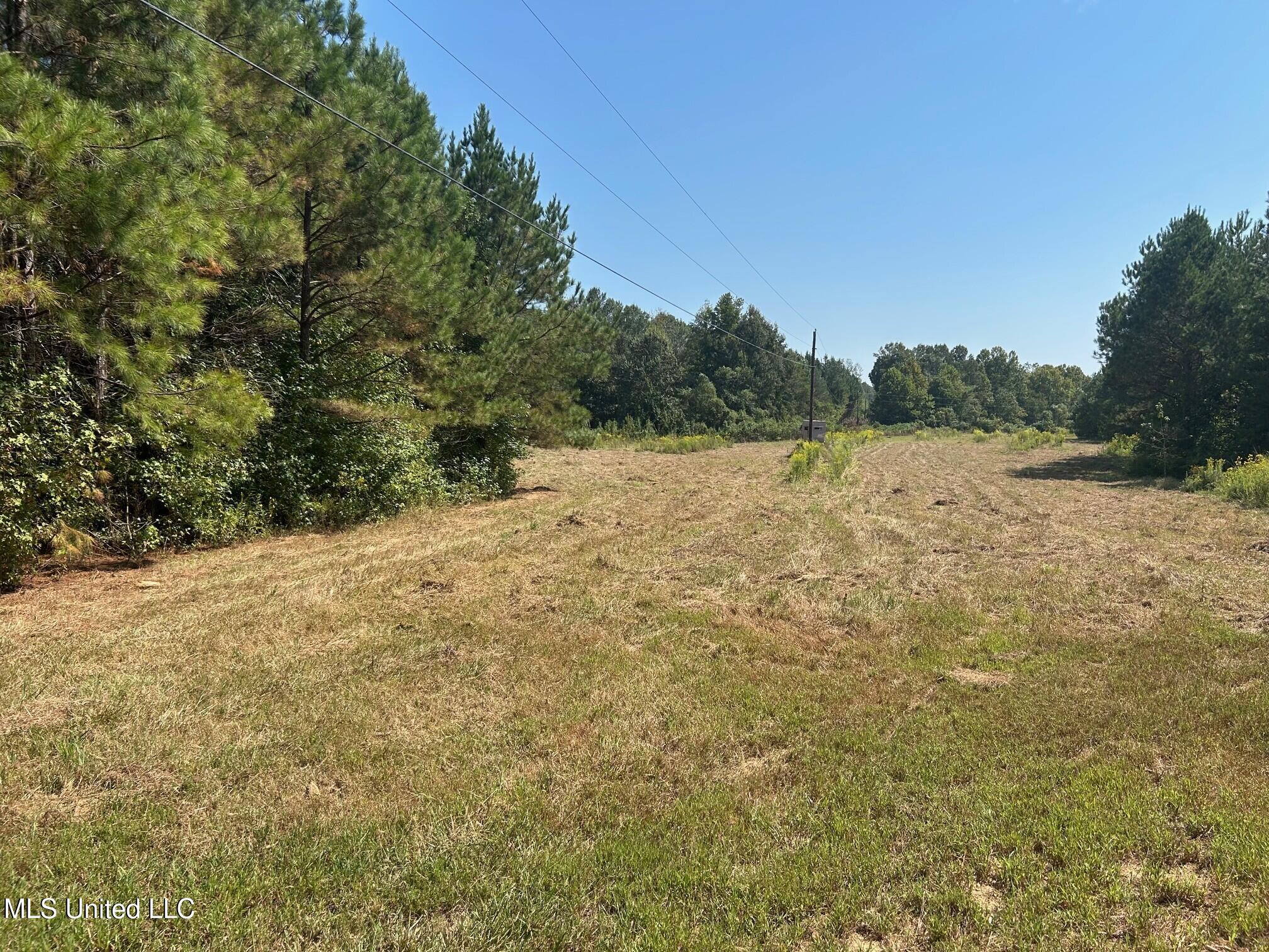 2928 Stokes Cemetary Road Property Photo 35