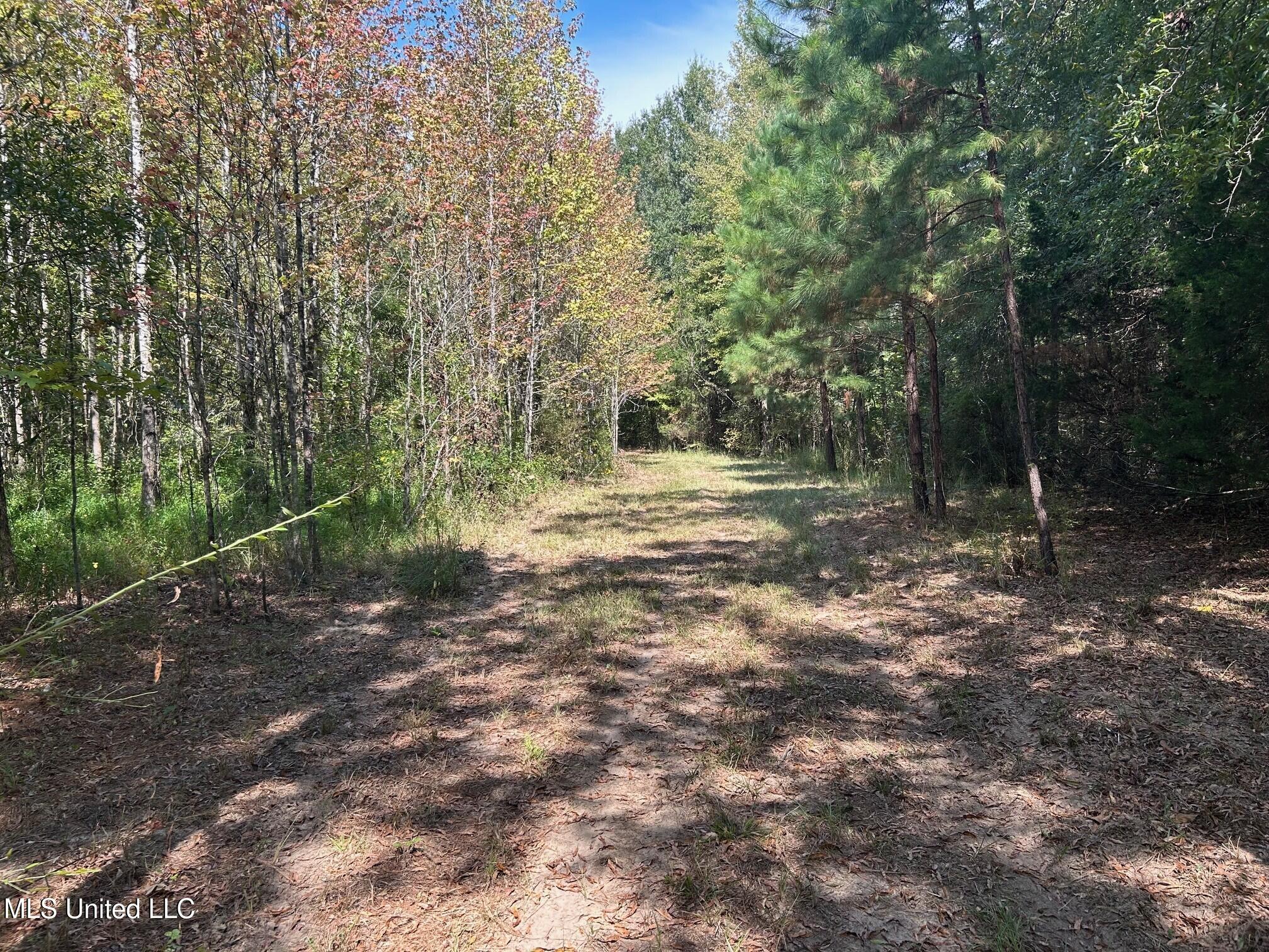 2928 Stokes Cemetary Road Property Photo 37