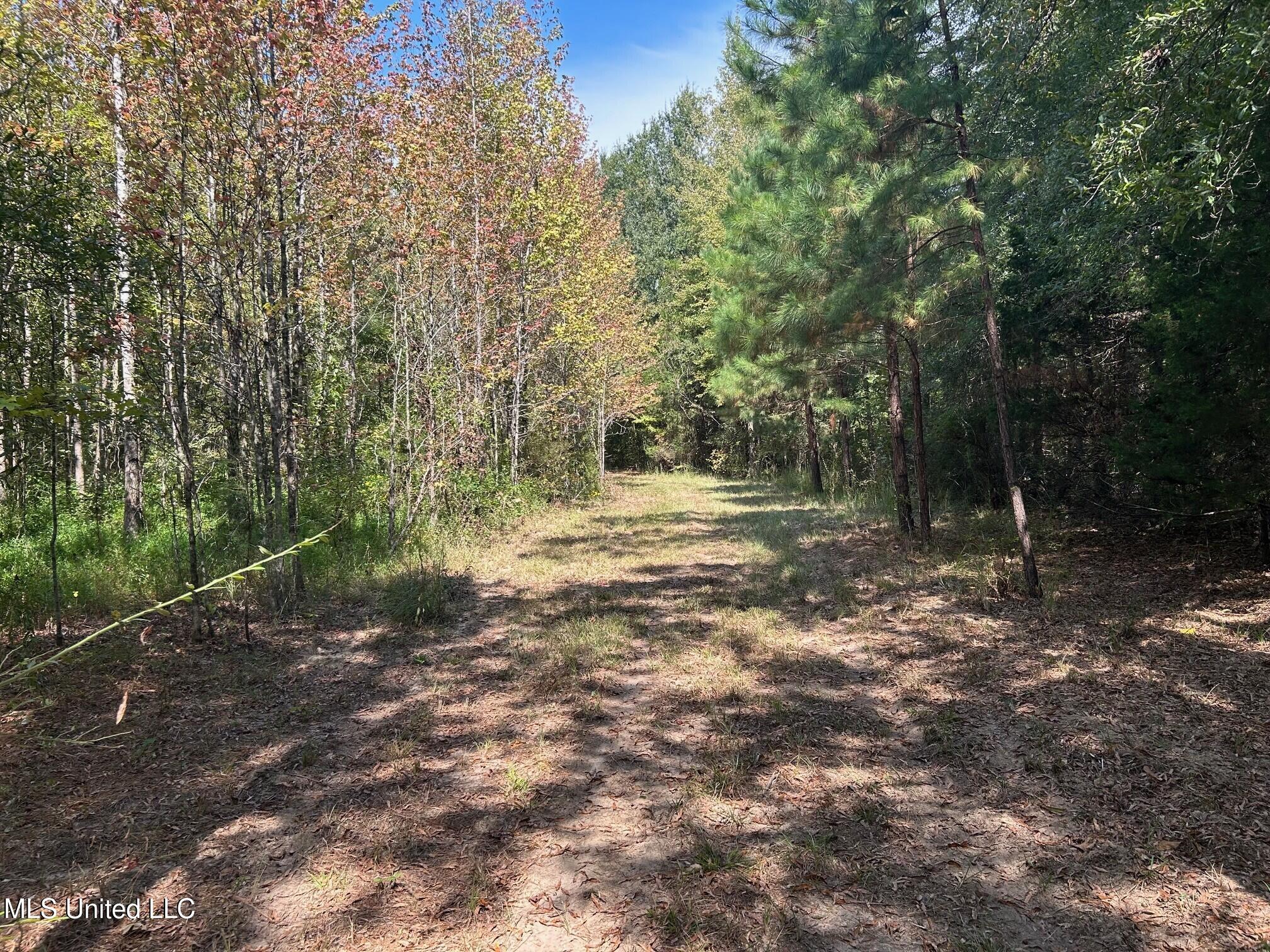 2928 Stokes Cemetary Road Property Photo 38