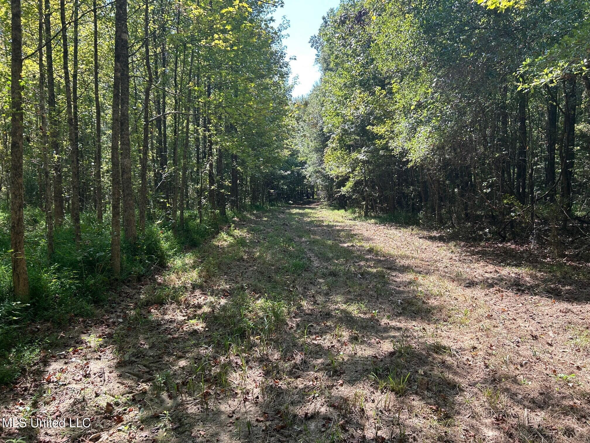 2928 Stokes Cemetary Road Property Photo 39