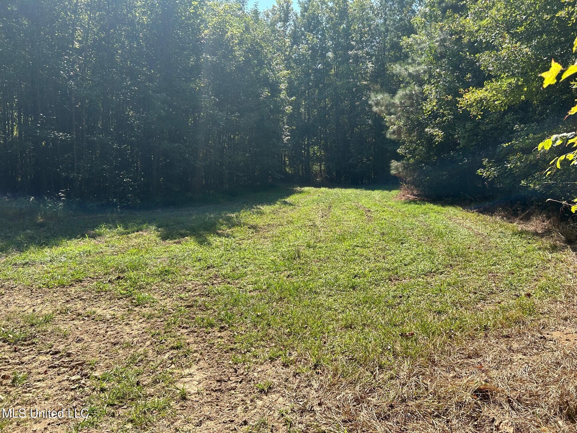 2928 Stokes Cemetary Road Property Photo 40