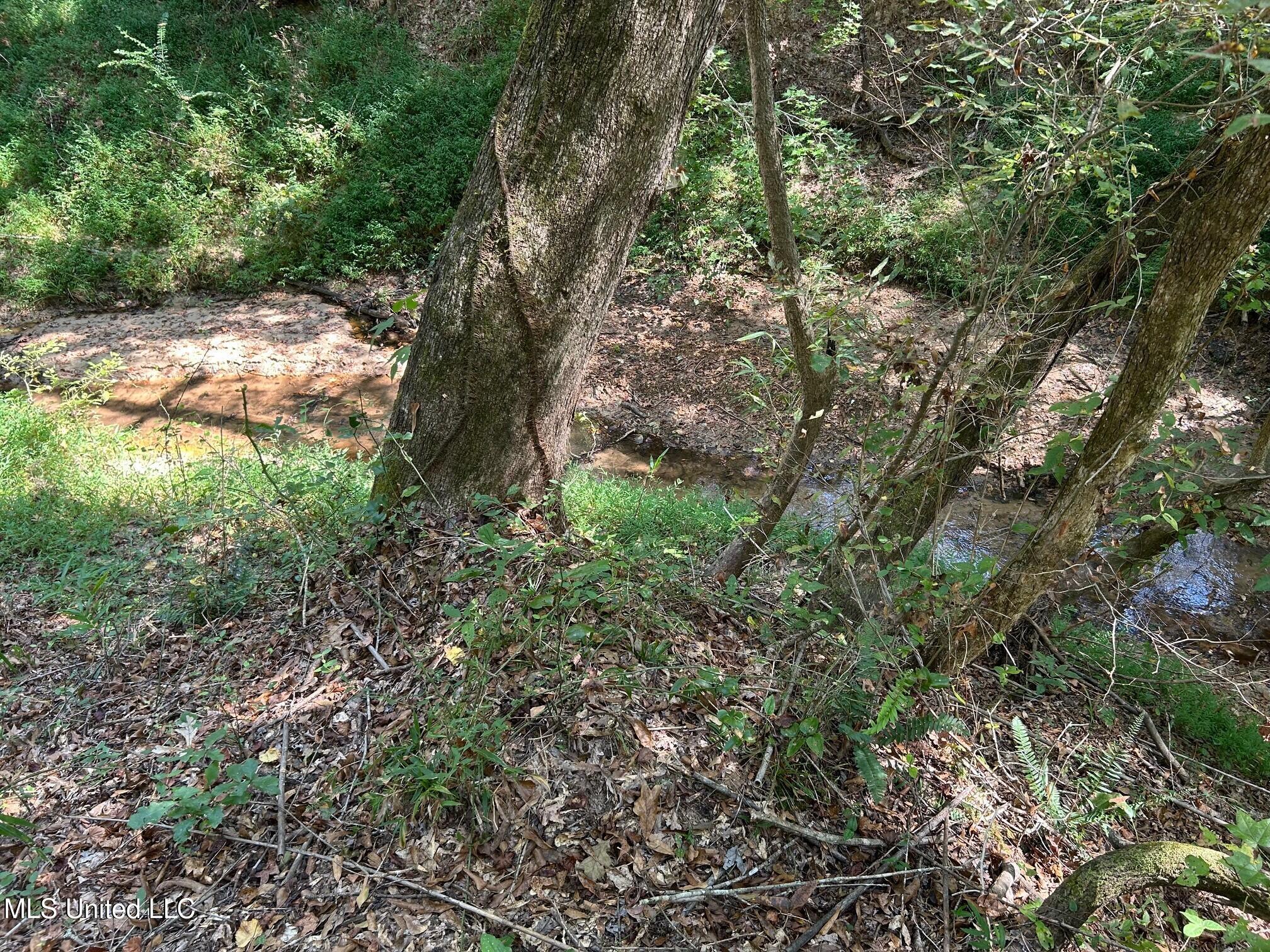 2928 Stokes Cemetary Road Property Photo 44