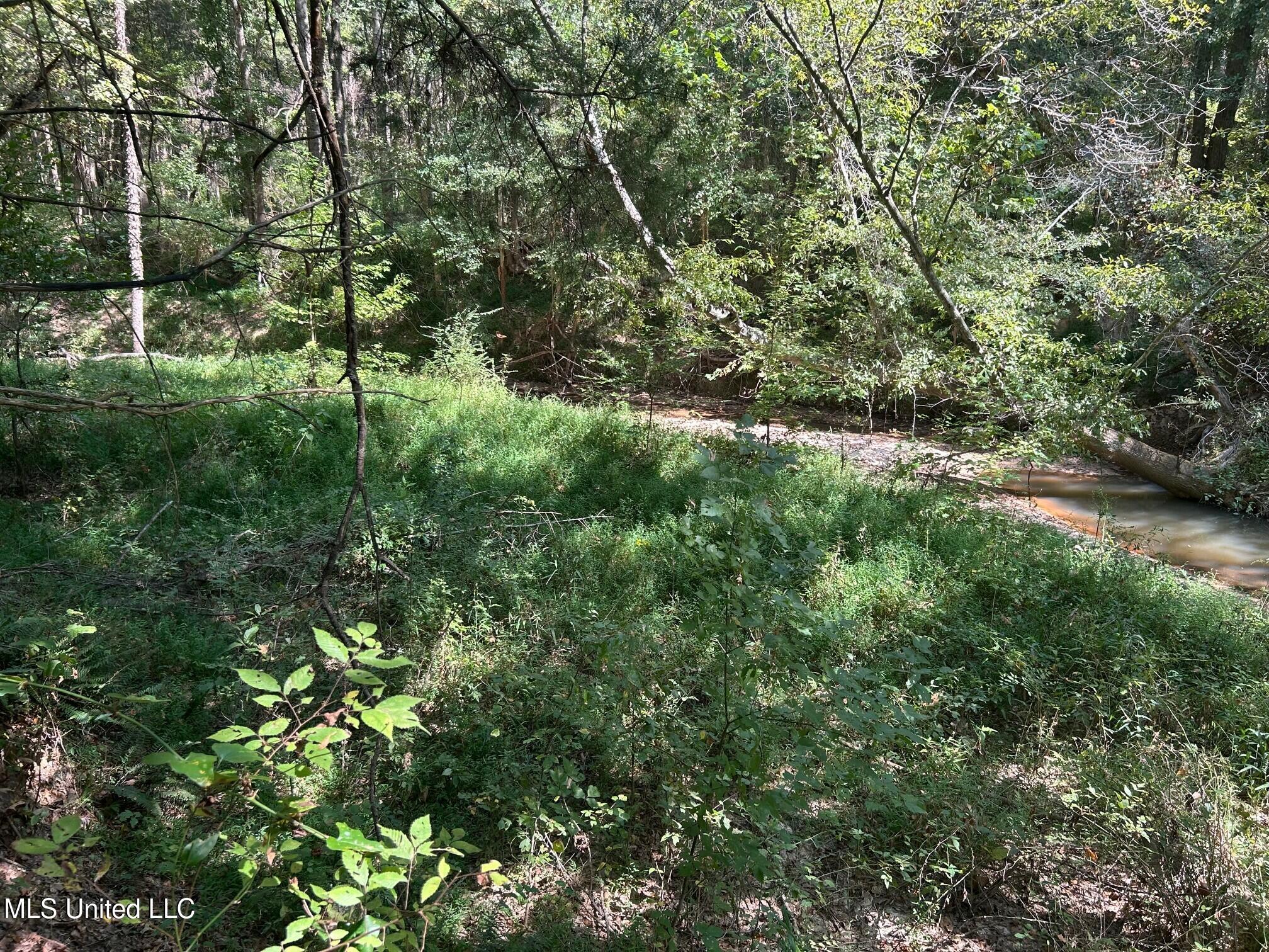 2928 Stokes Cemetary Road Property Photo 53