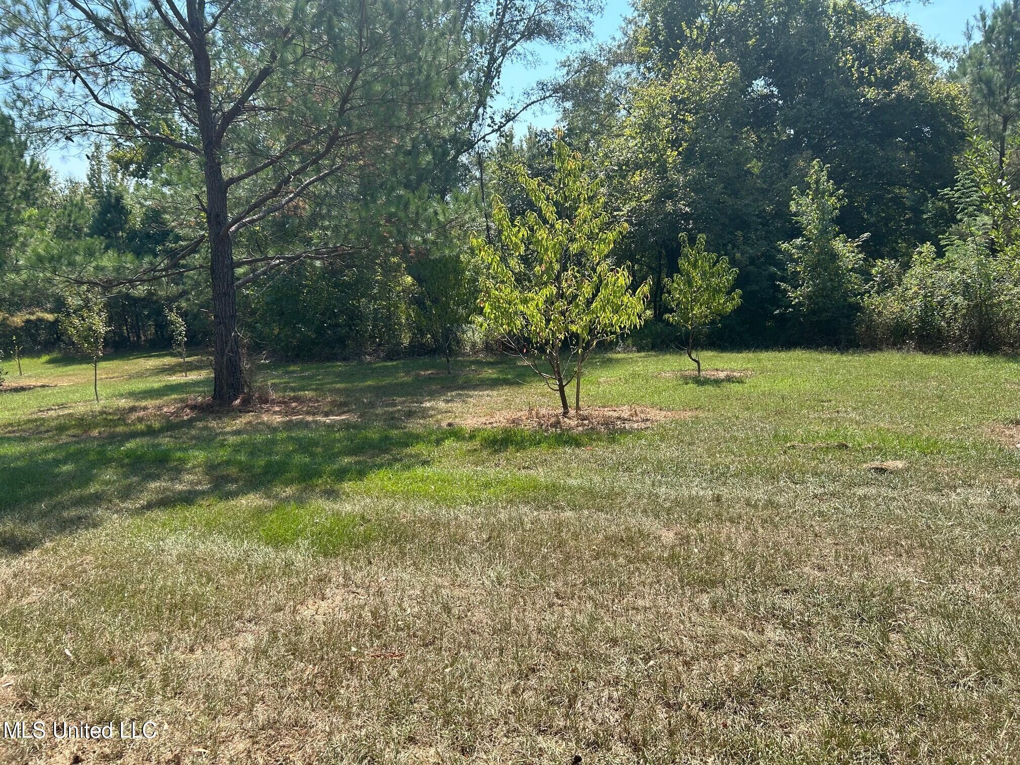 2928 Stokes Cemetary Road Property Photo 55