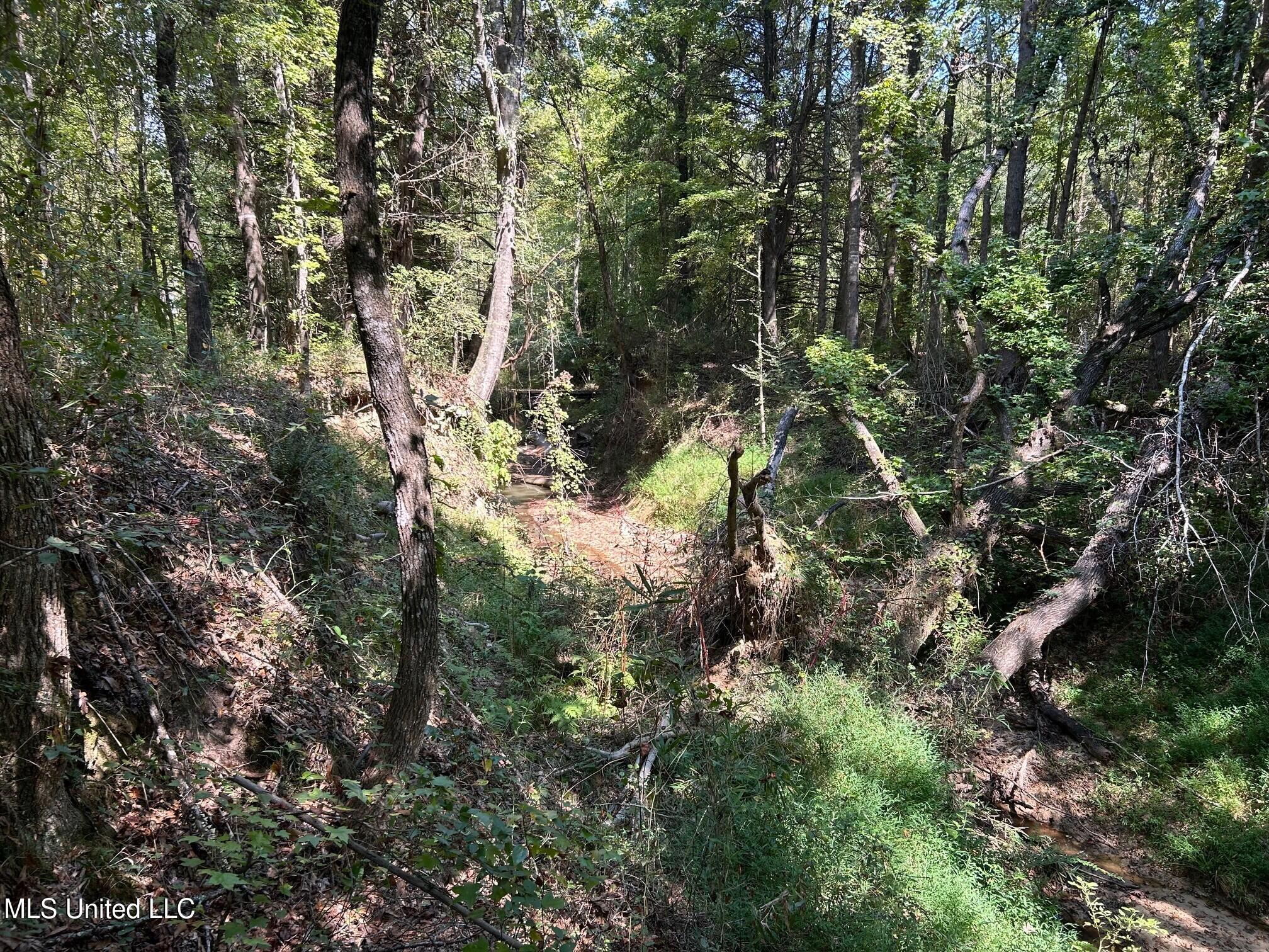 2928 Stokes Cemetary Road Property Photo 57
