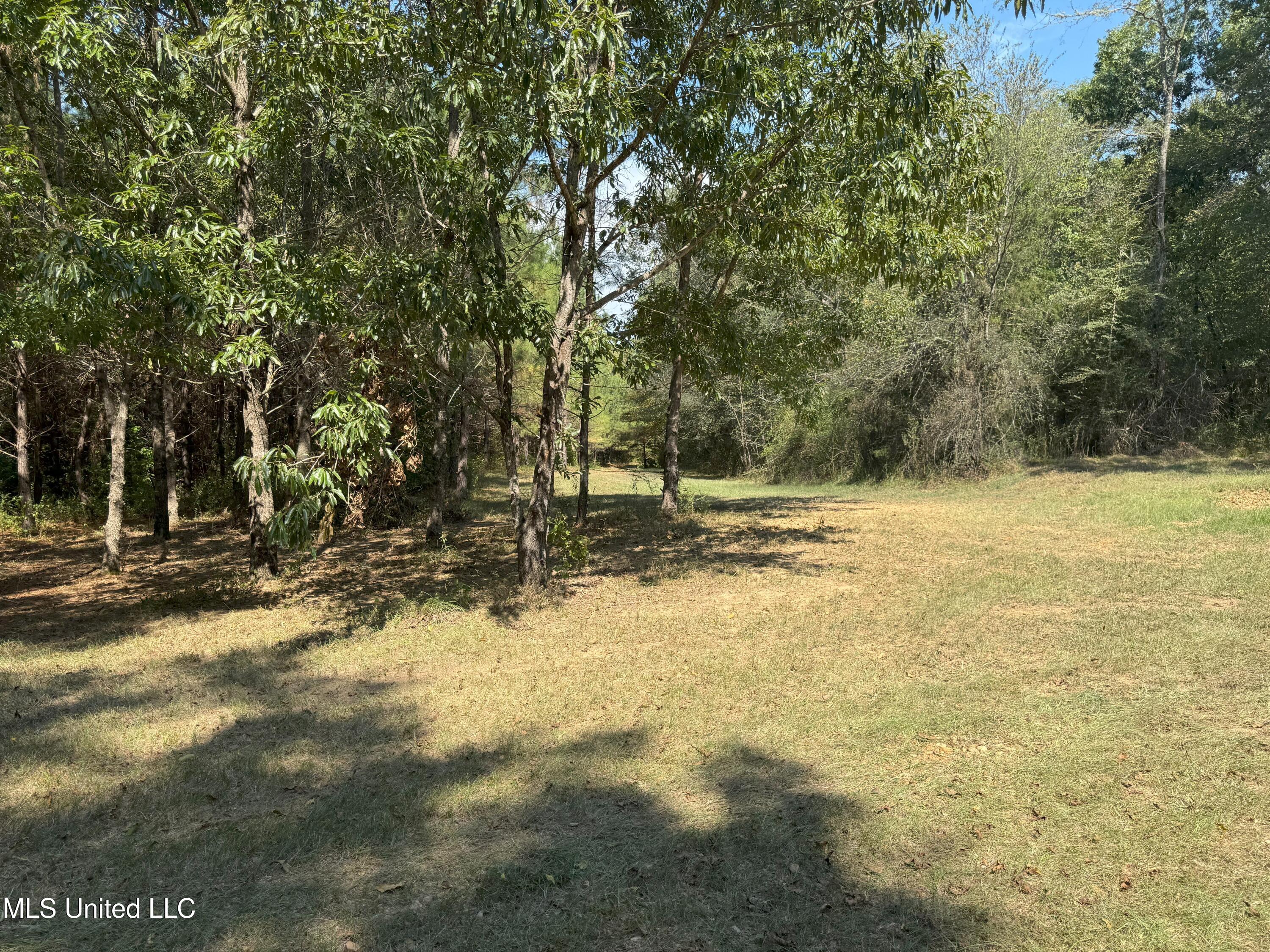 2928 Stokes Cemetary Road Property Photo 60