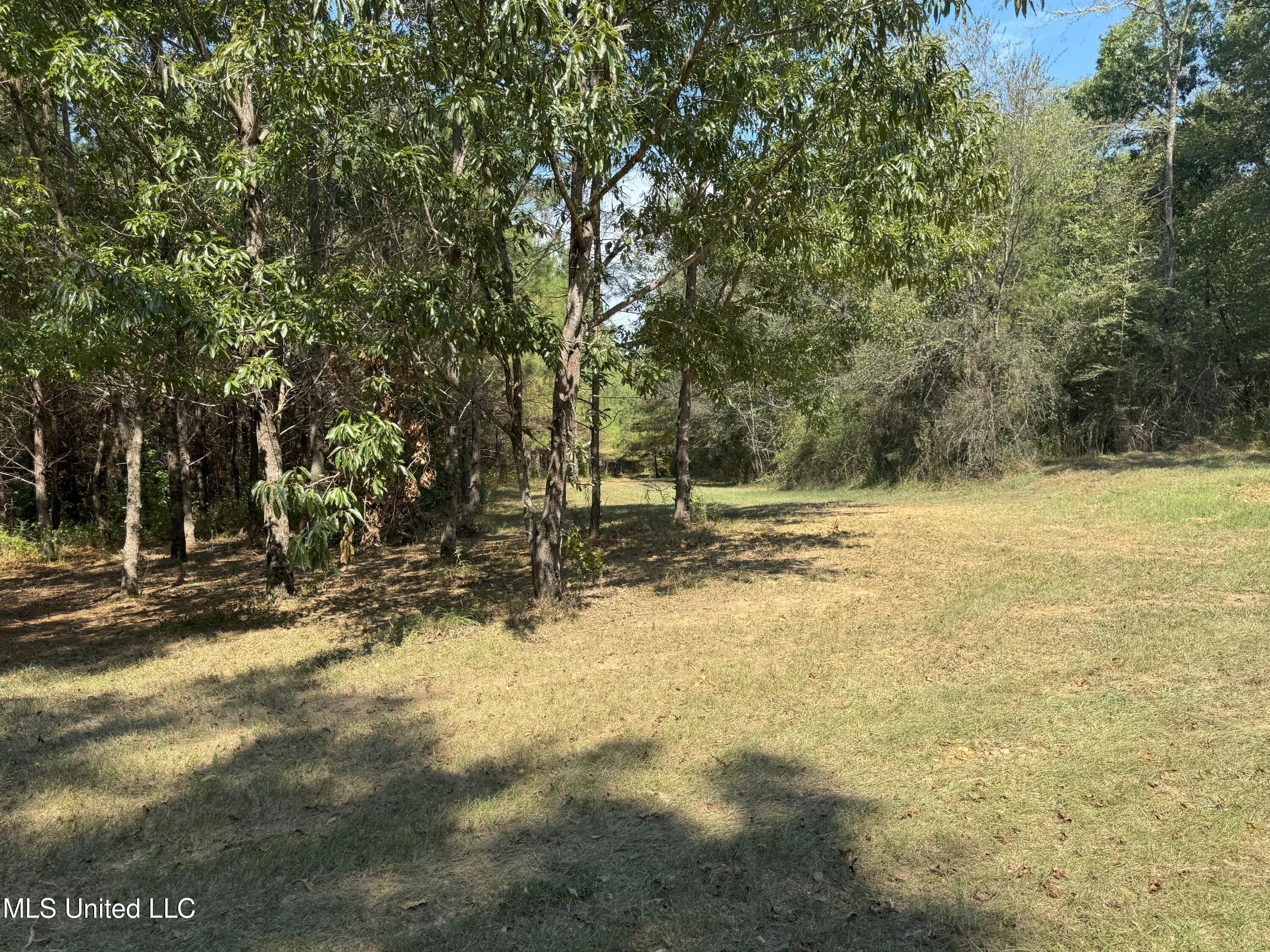 2928 Stokes Cemetary Road Property Photo 61
