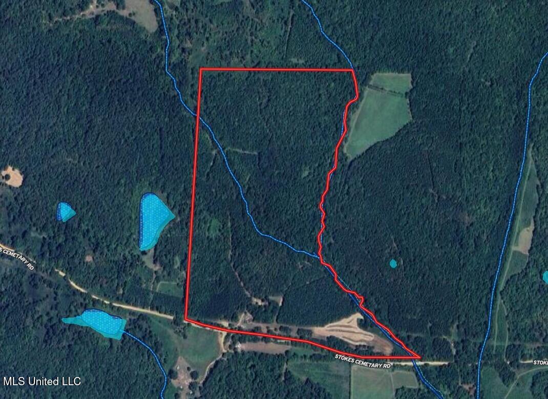 2928 Stokes Cemetary Road Property Photo 62