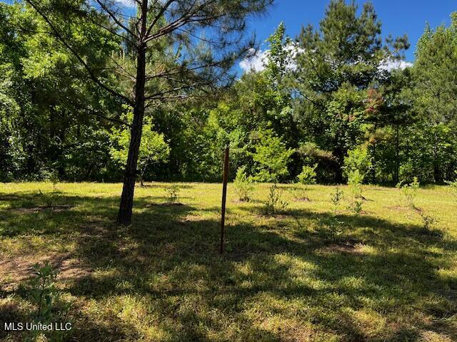 2928 Stokes Cemetary Road Property Photo 83