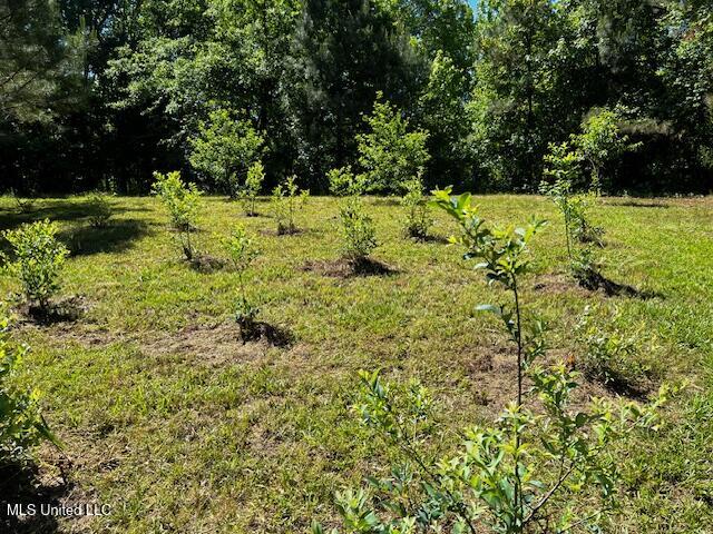 2928 Stokes Cemetary Road Property Photo 84