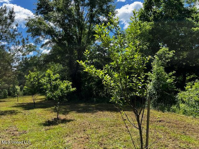 2928 Stokes Cemetary Road Property Photo 86