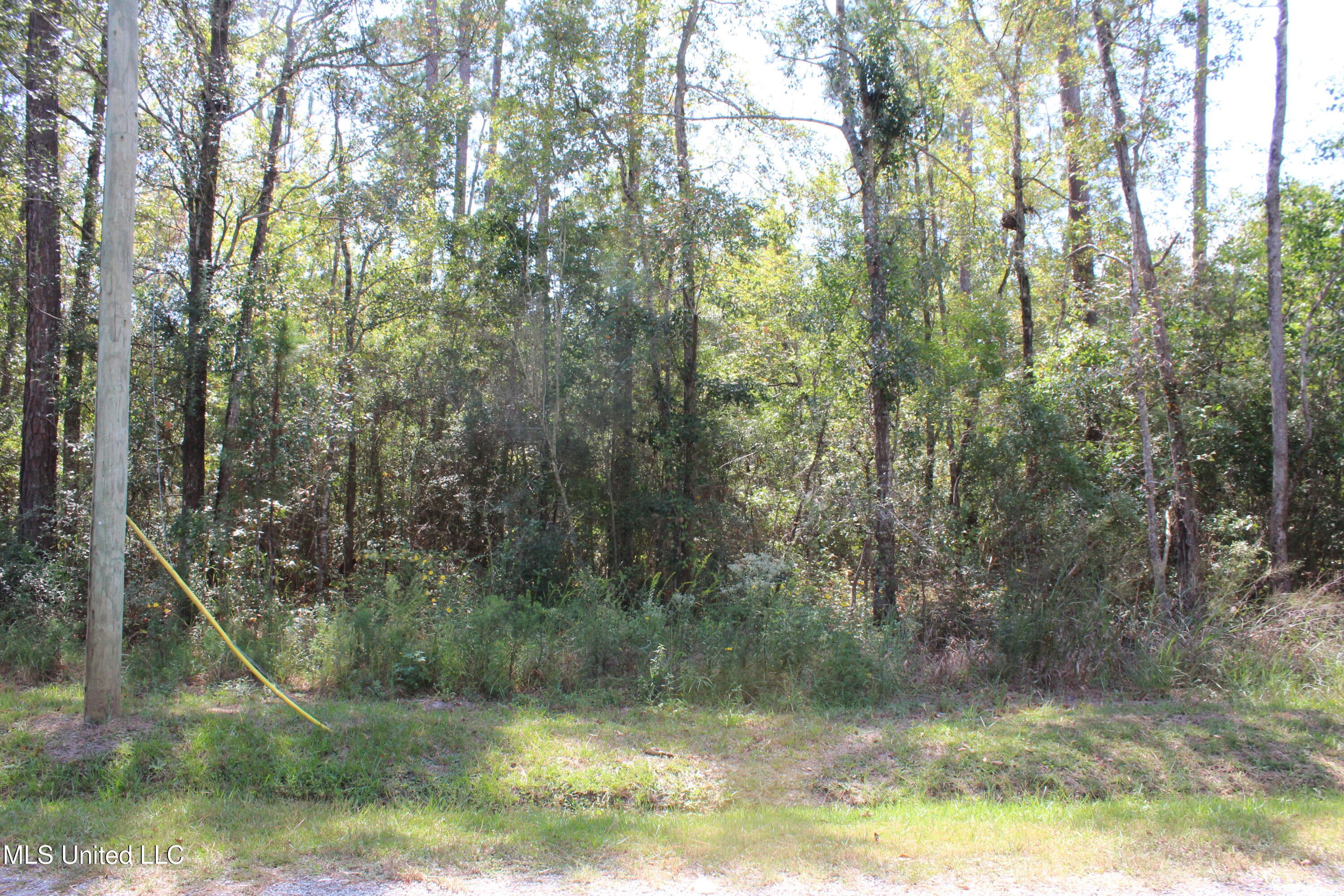 0 8th Street Property Photo 2