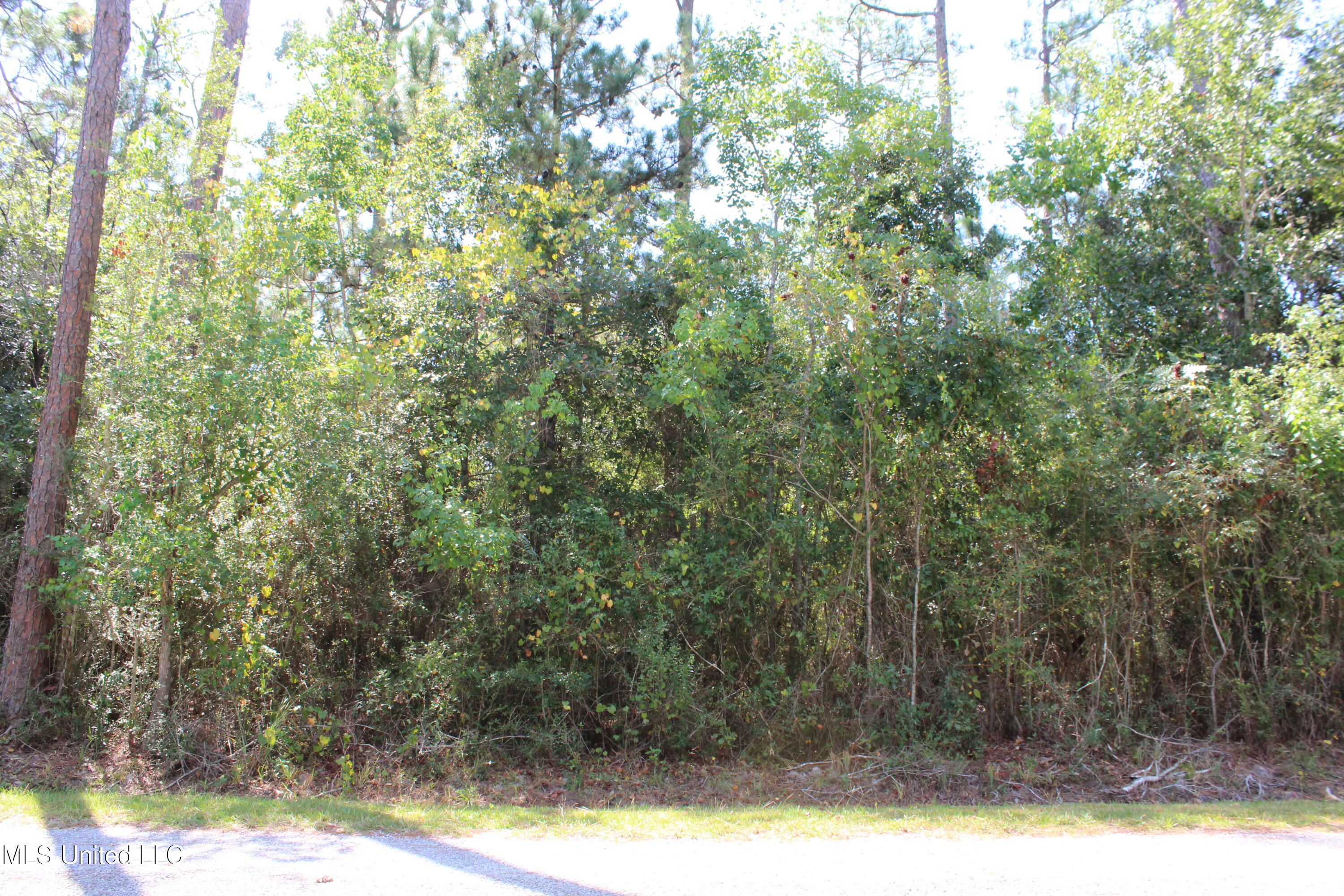 000 4th Street Property Photo 2
