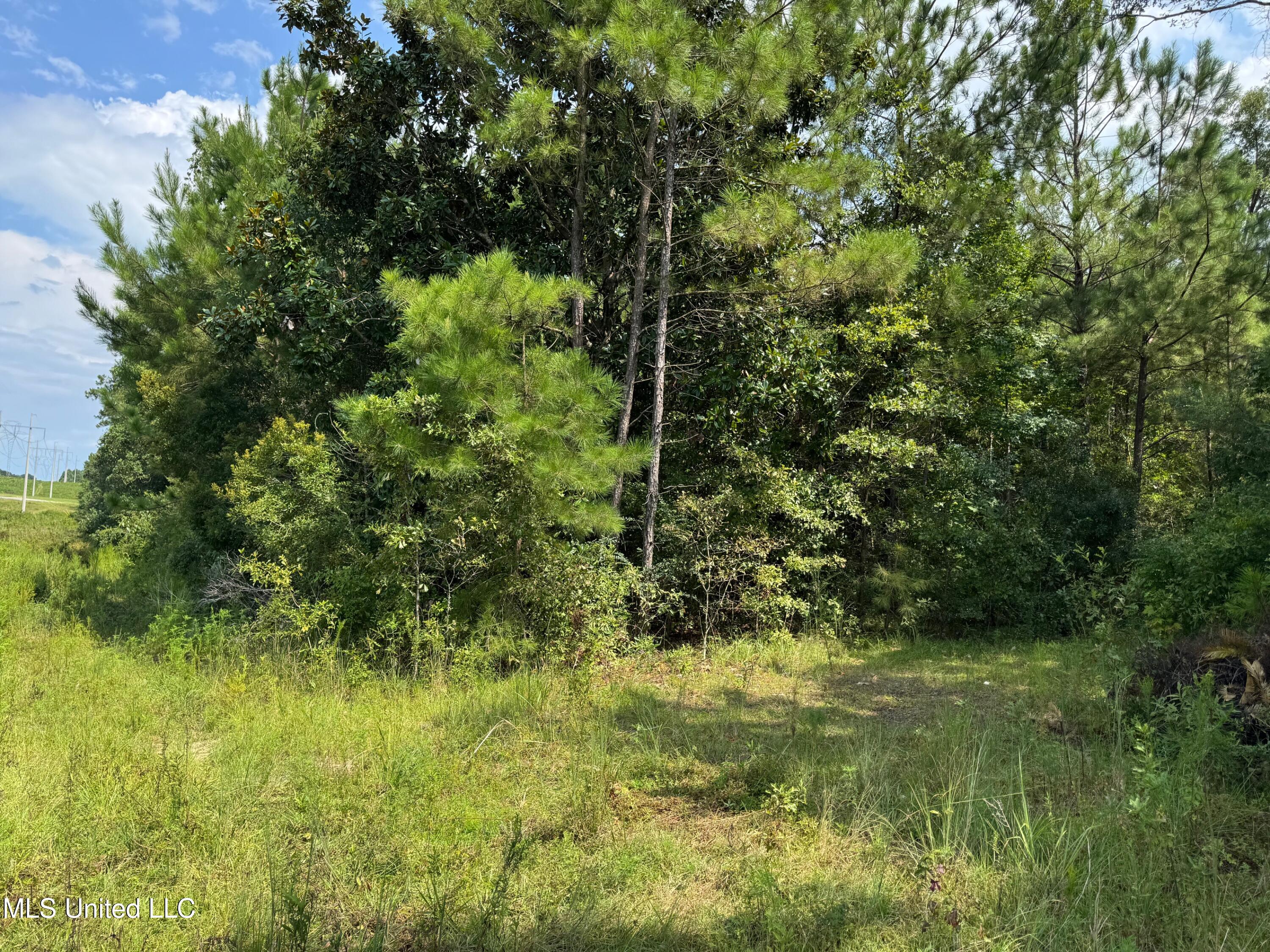 Nhn Darby Lane Property Photo 4