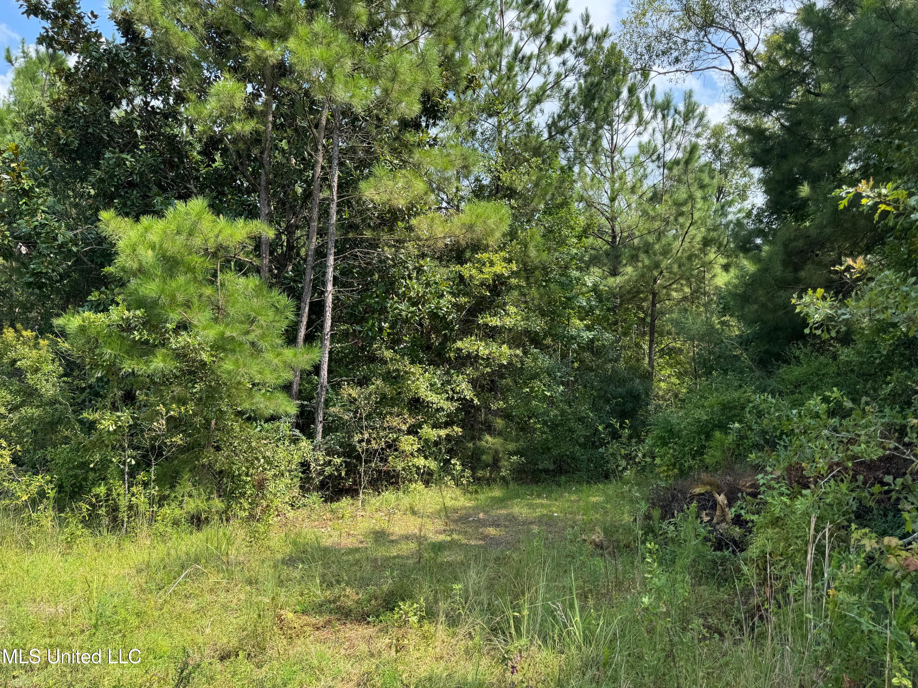 Nhn Darby Lane Property Photo 5