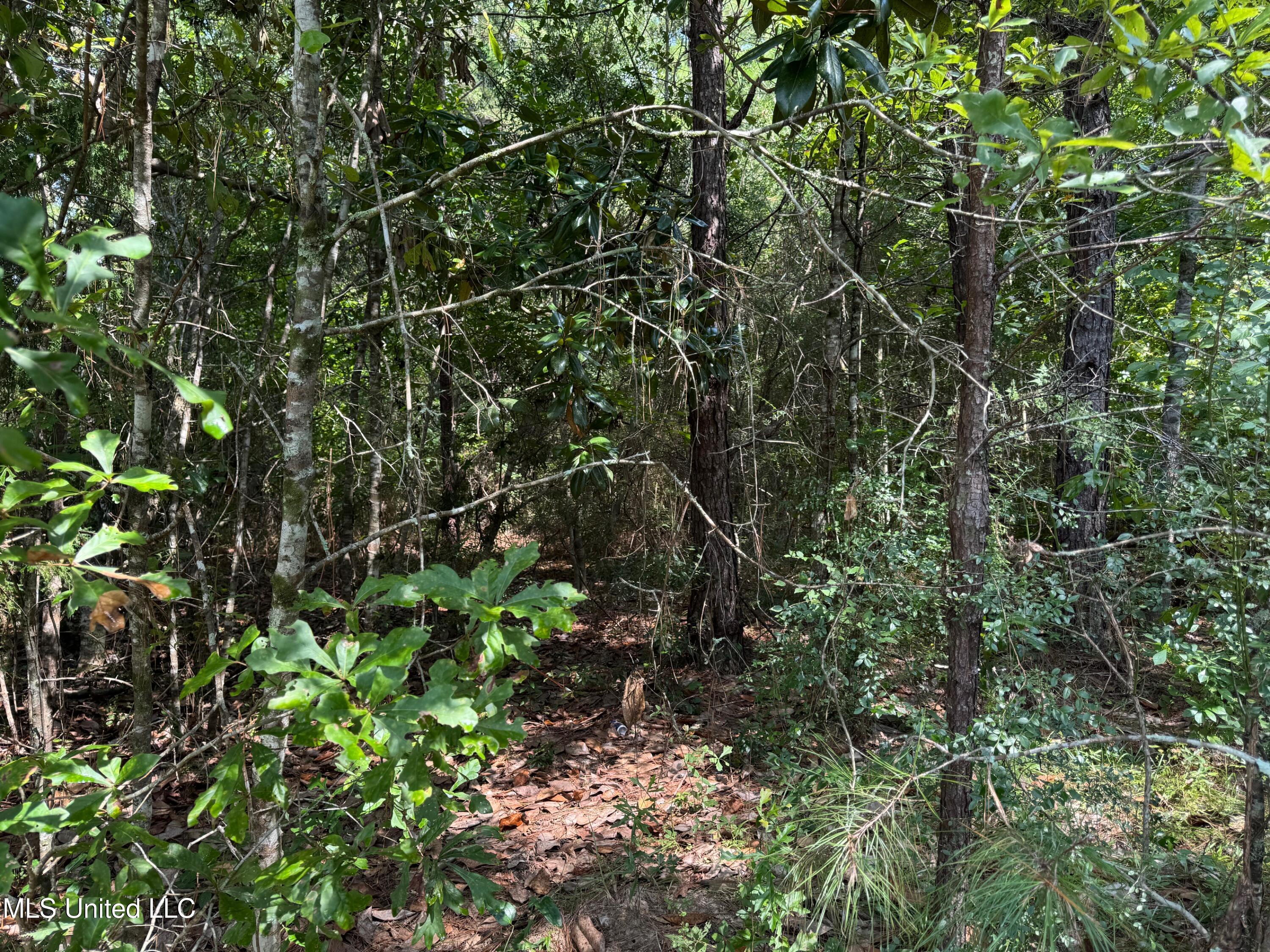 Nhn Darby Lane Property Photo 8