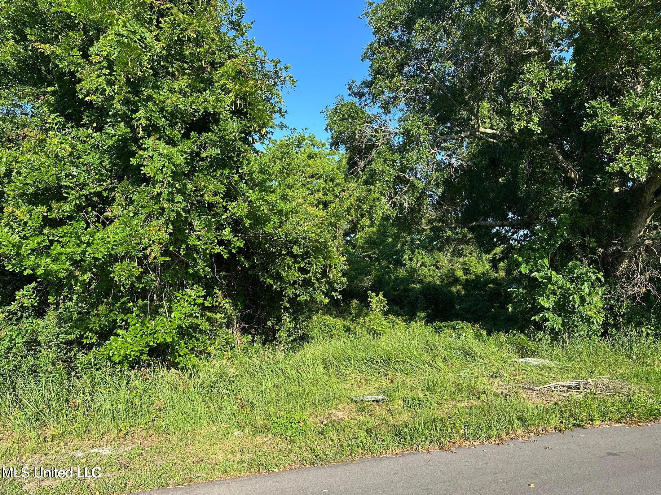 0 49th Avenue Property Photo 1