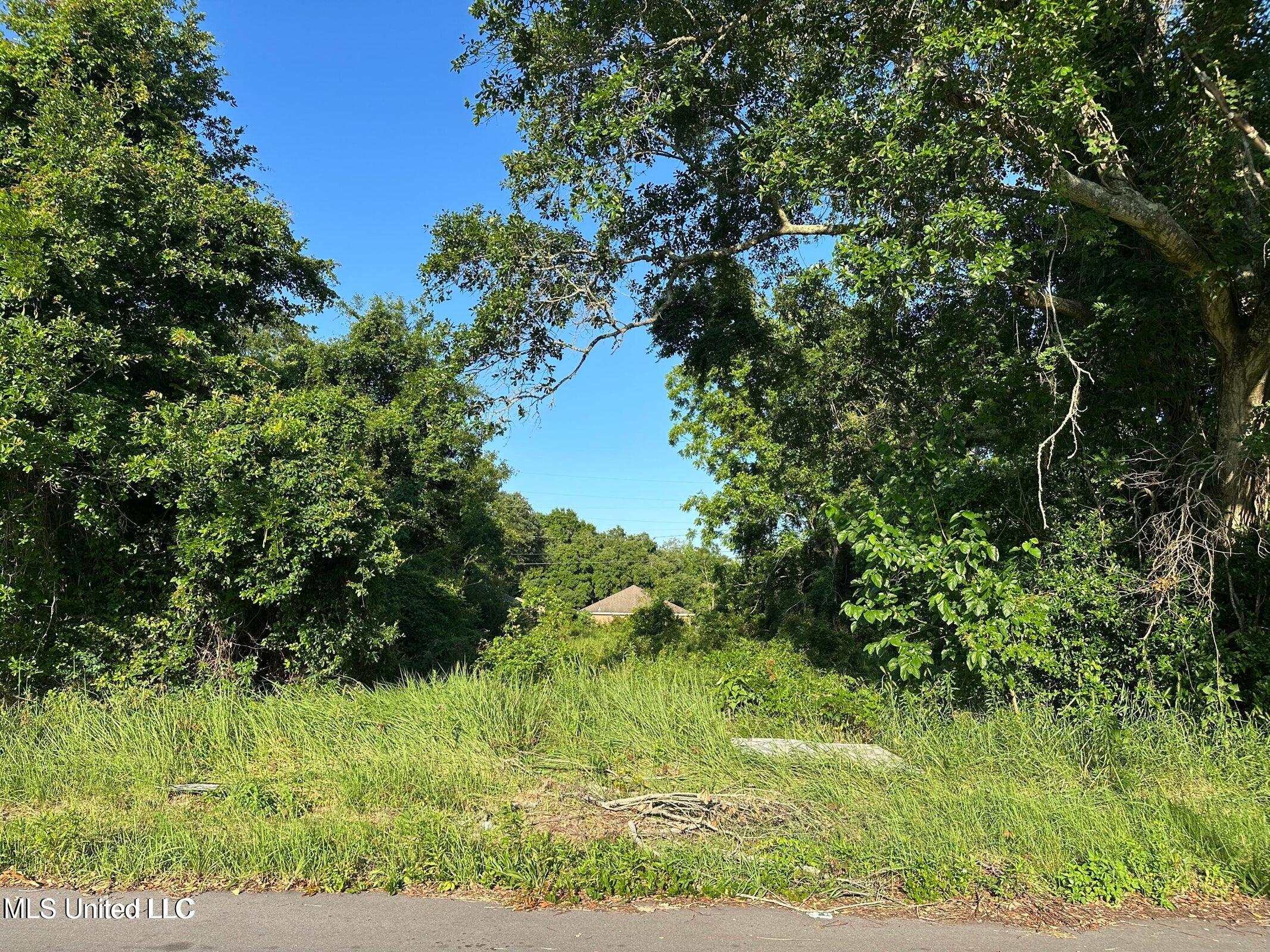 0 49th Avenue Property Photo 2