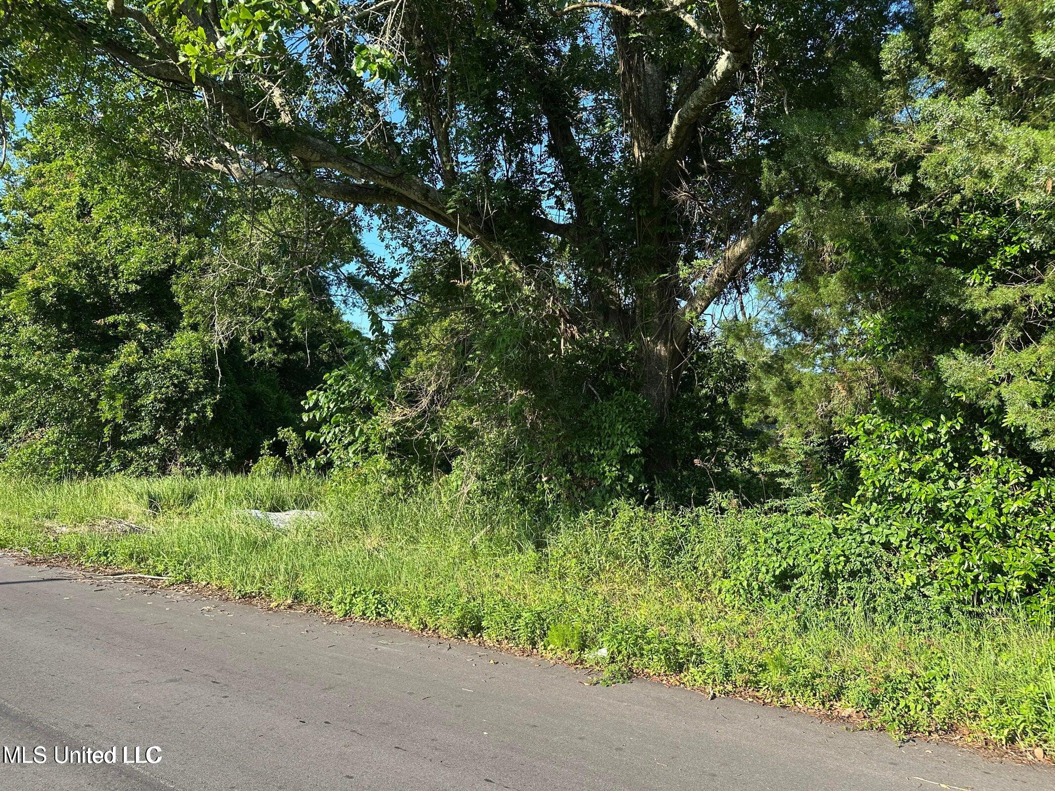 0 49th Avenue Property Photo 3