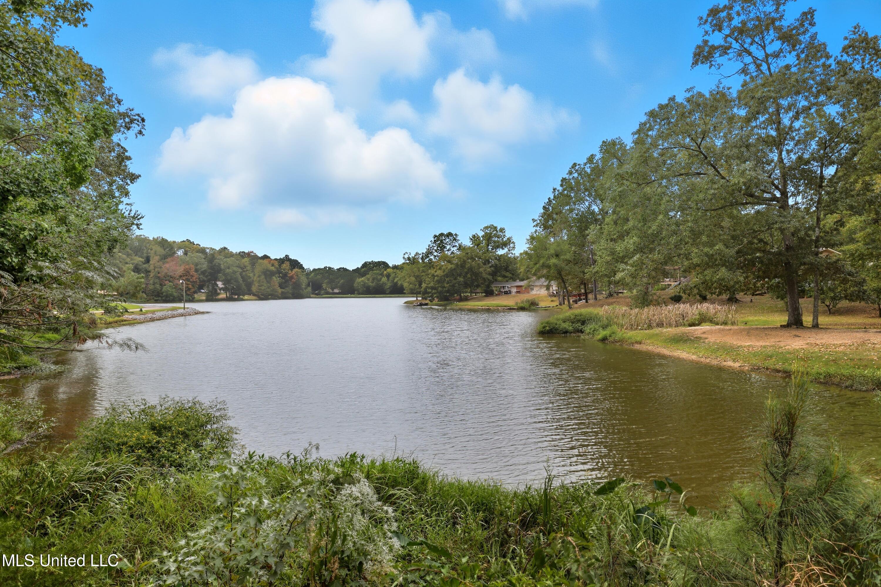 108 Wynndale Lake Road Property Photo 41