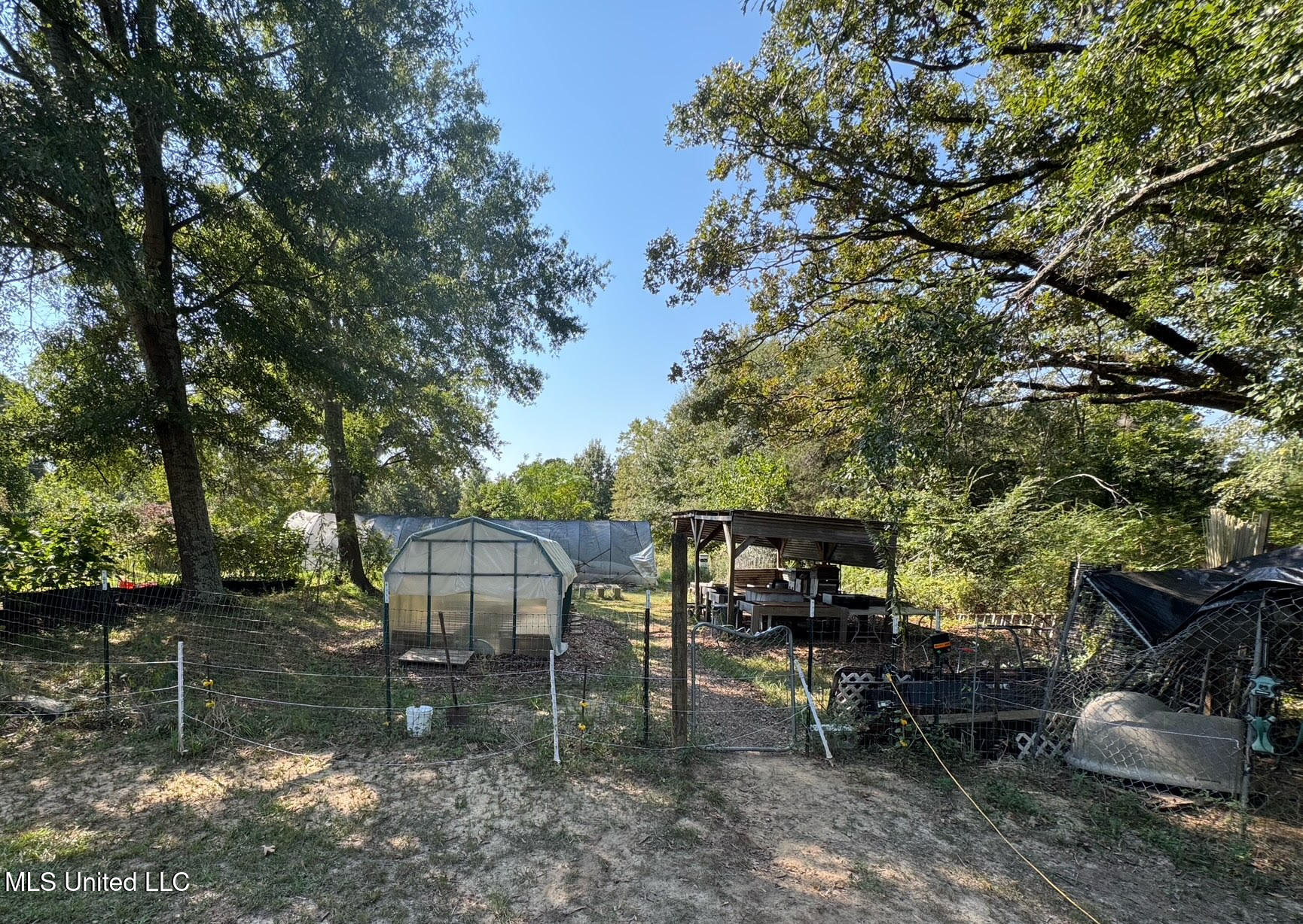 1541 Frank Hall Road Property Photo 5