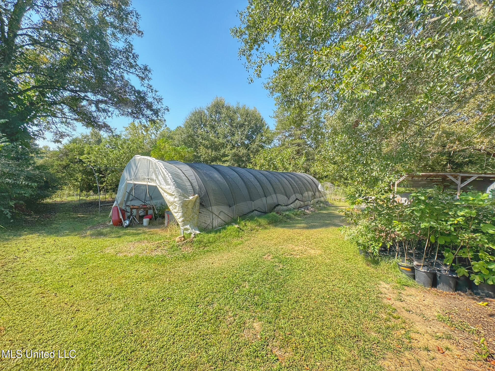 1541 Frank Hall Road Property Photo 6