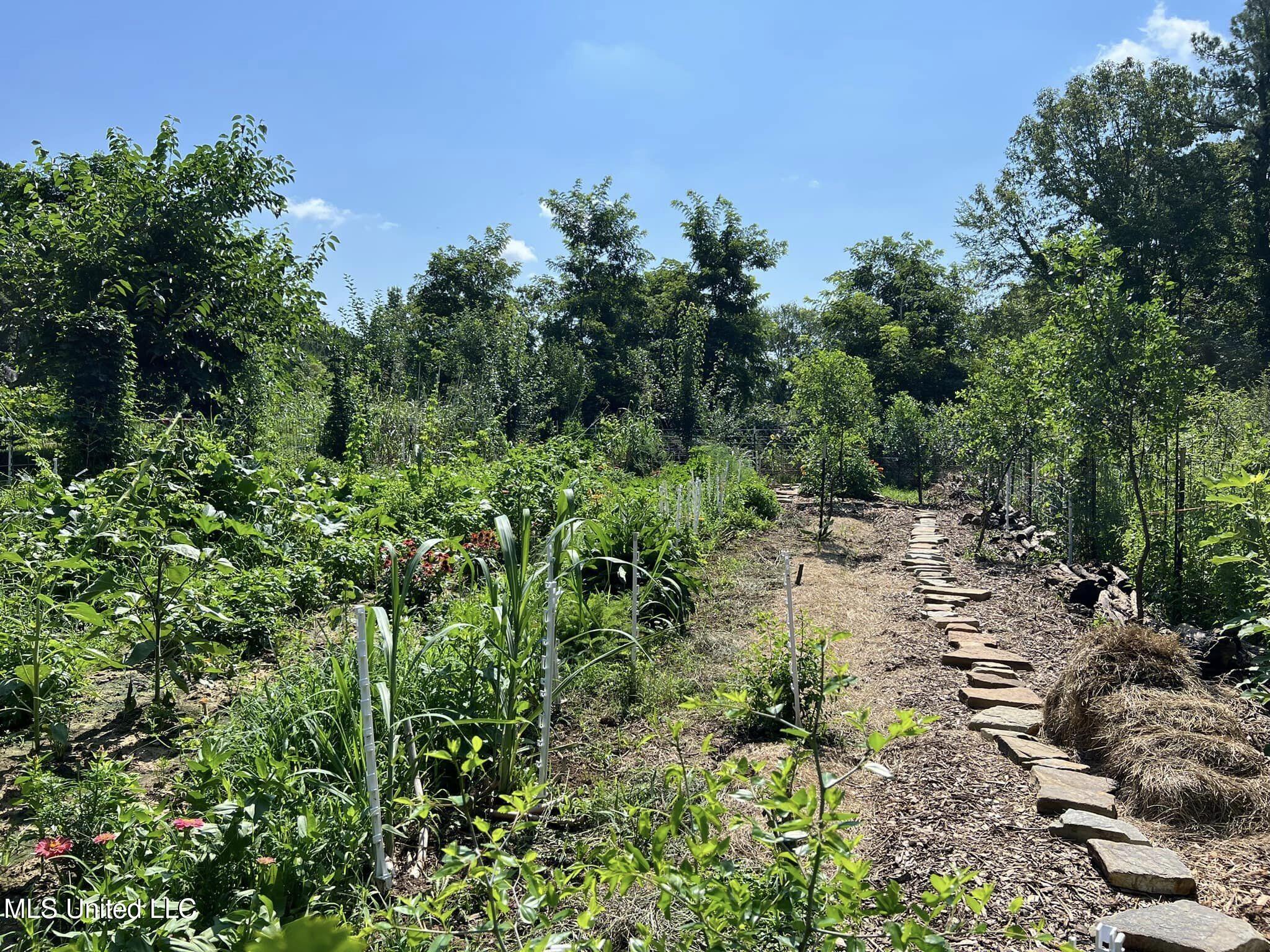 1541 Frank Hall Road Property Photo 10