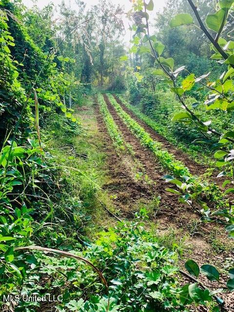 1541 Frank Hall Road Property Photo 12