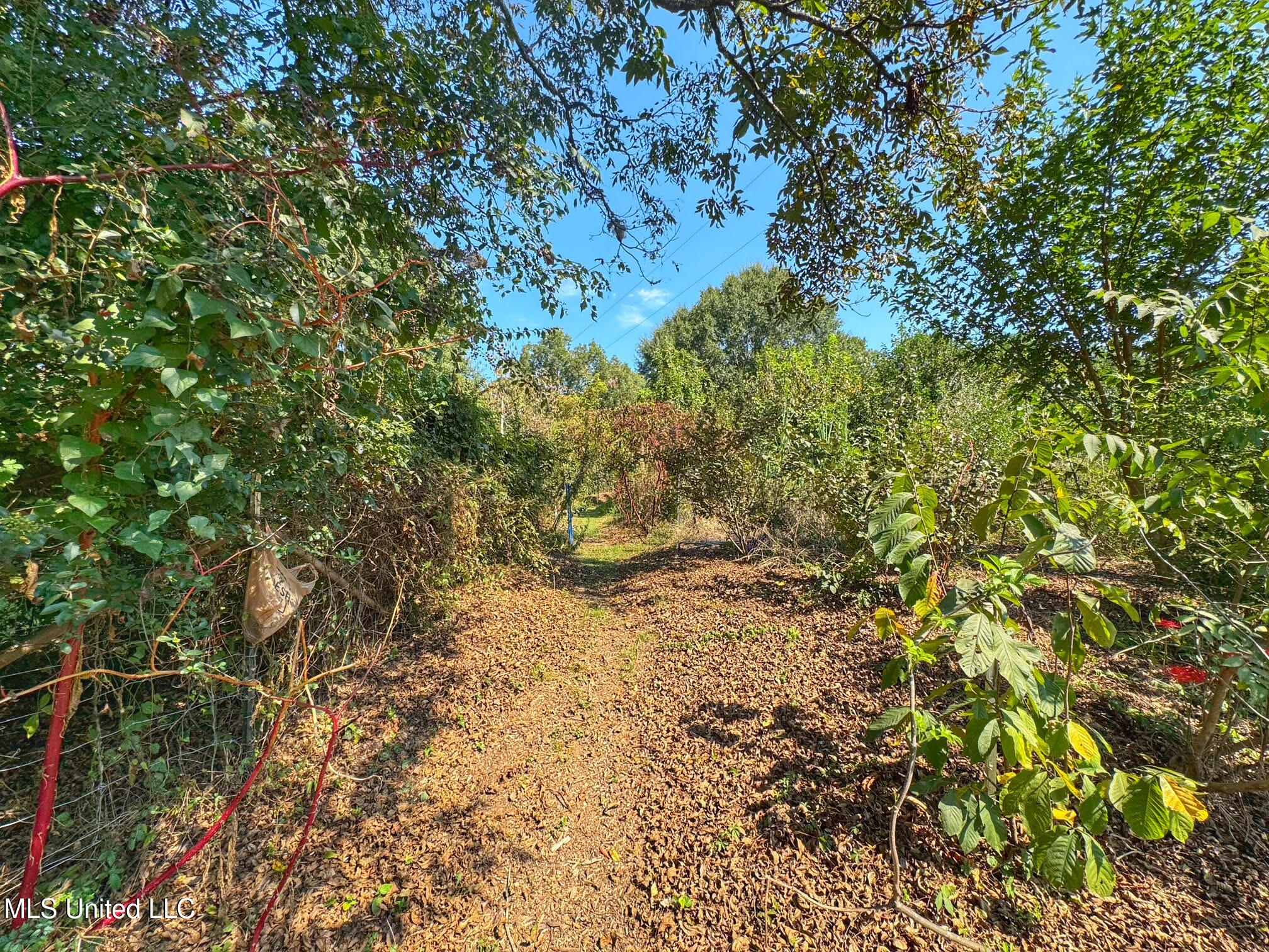 1541 Frank Hall Road Property Photo 23