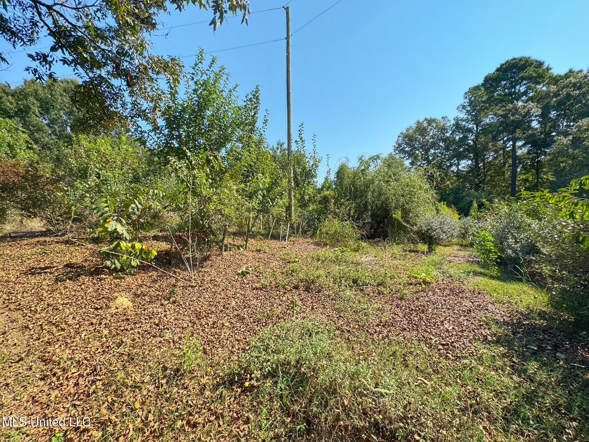 1541 Frank Hall Road Property Photo 24