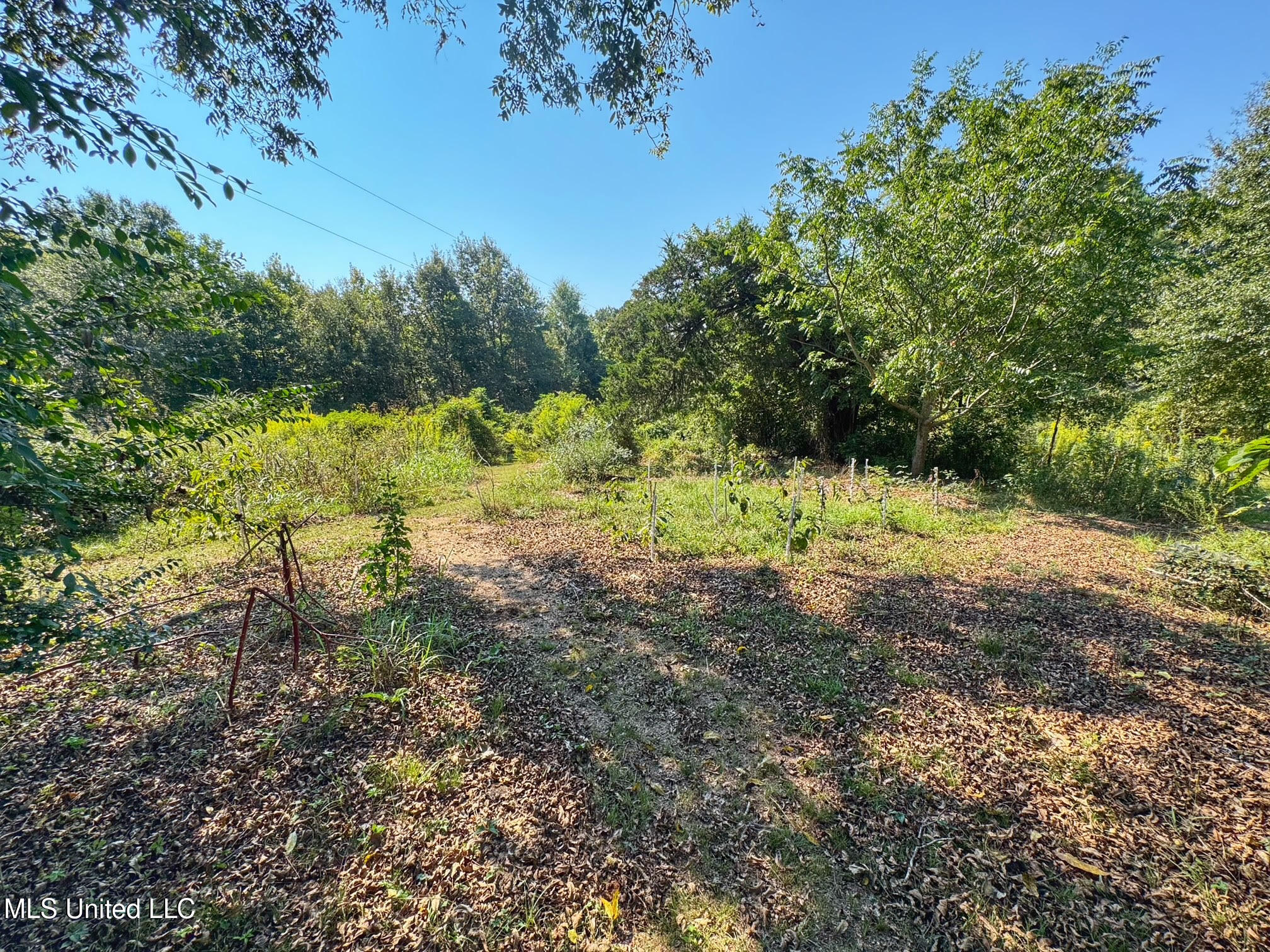 1541 Frank Hall Road Property Photo 25