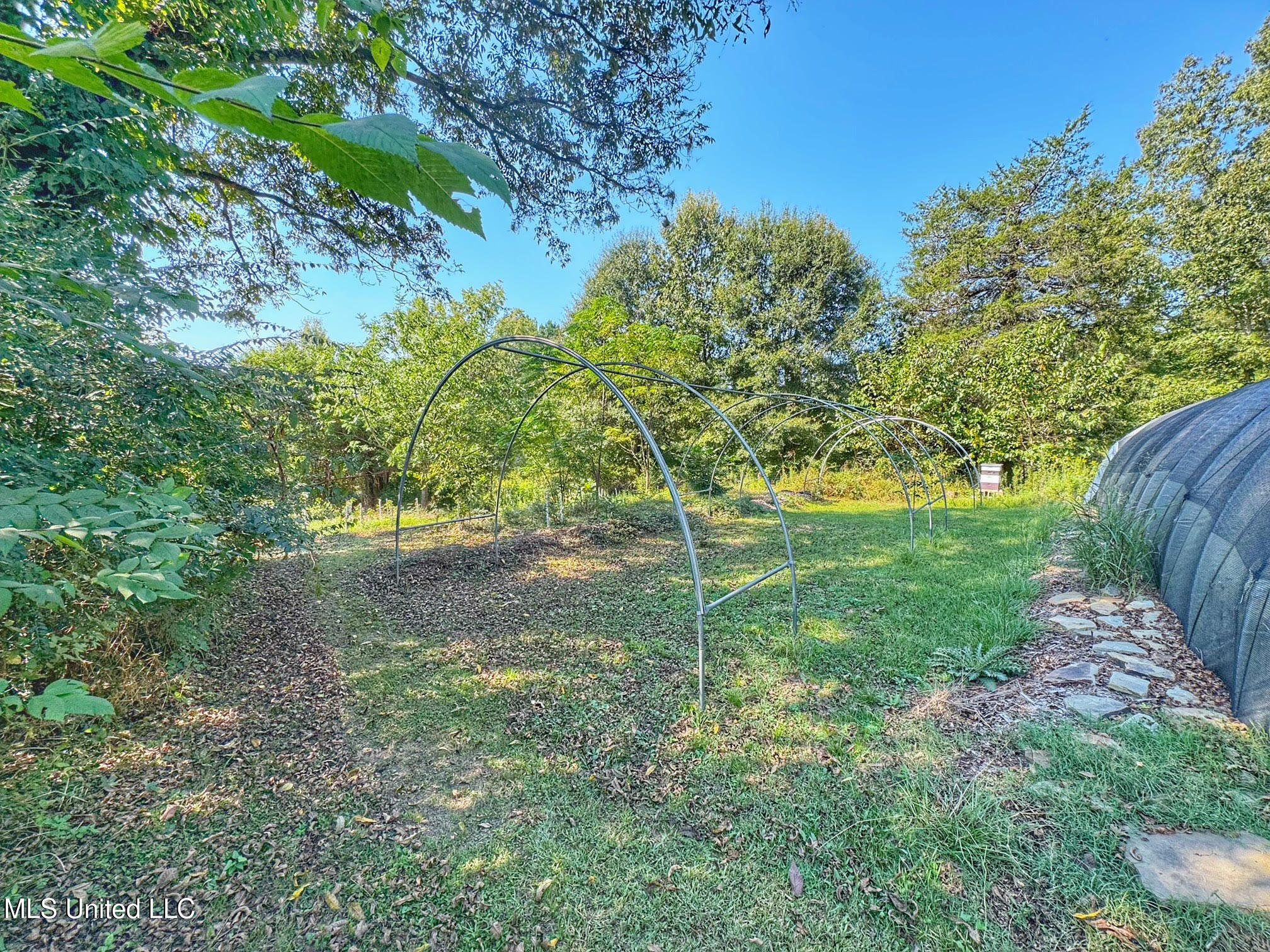 1541 Frank Hall Road Property Photo 26