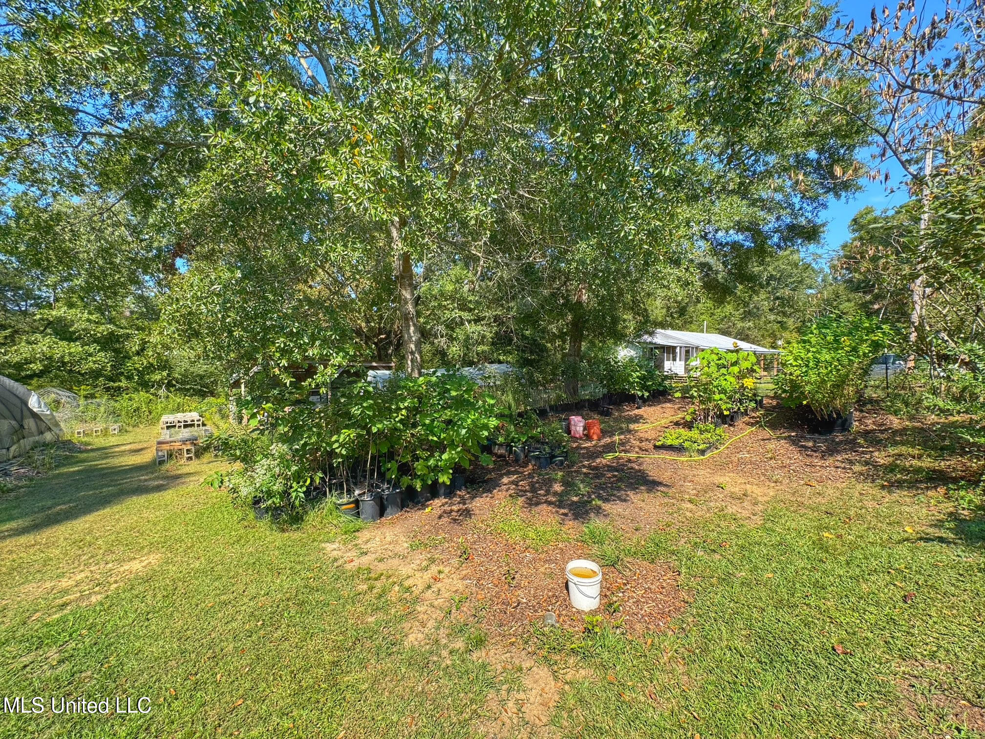 1541 Frank Hall Road Property Photo 27