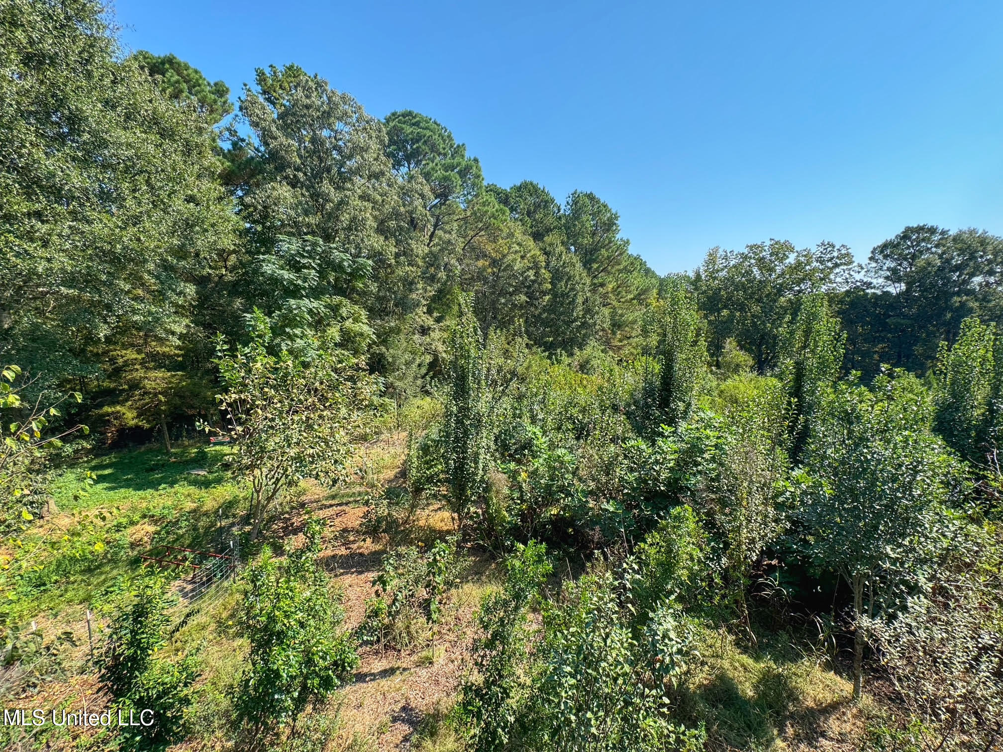 1541 Frank Hall Road Property Photo 28